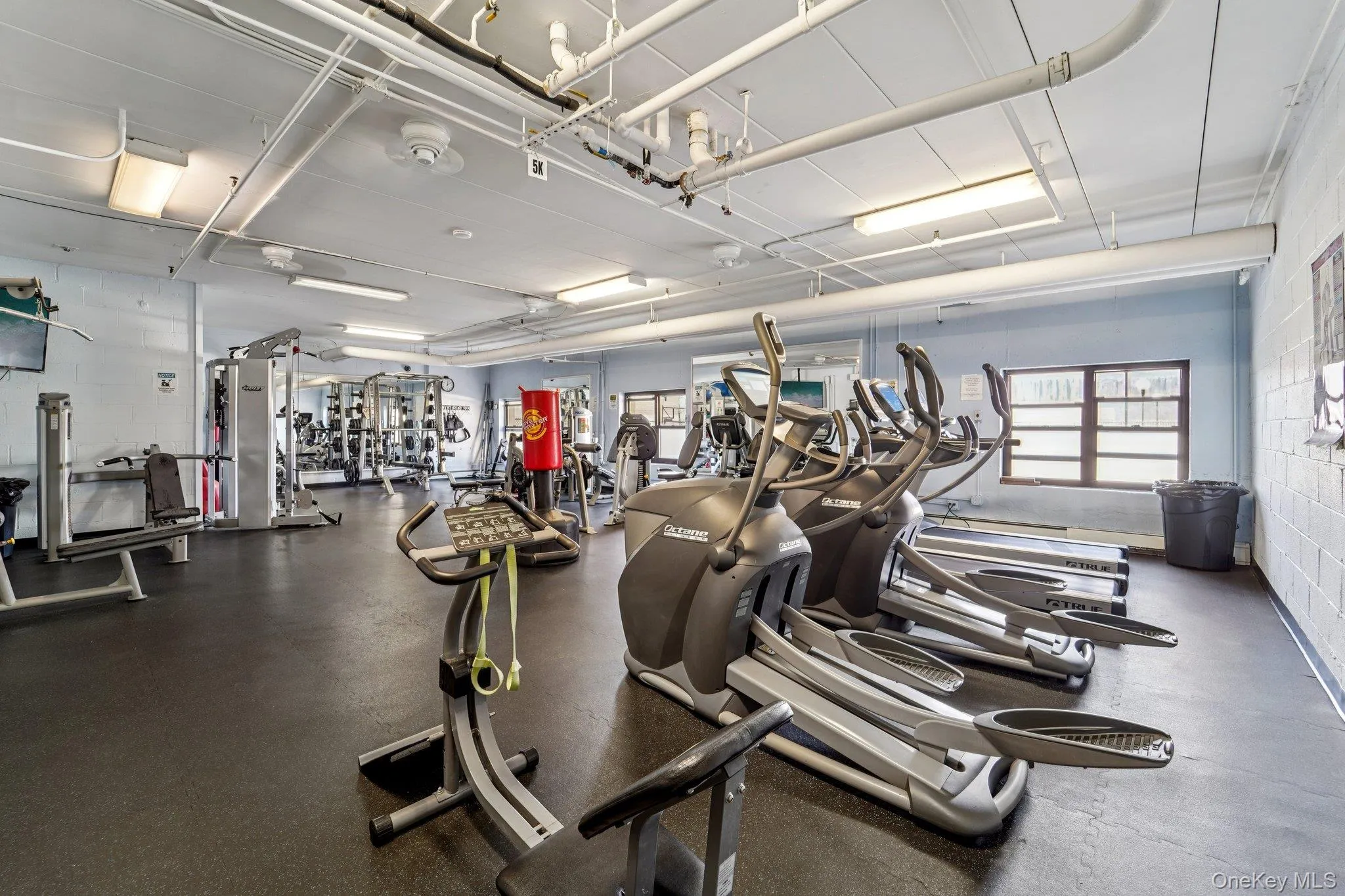 Gym Gym