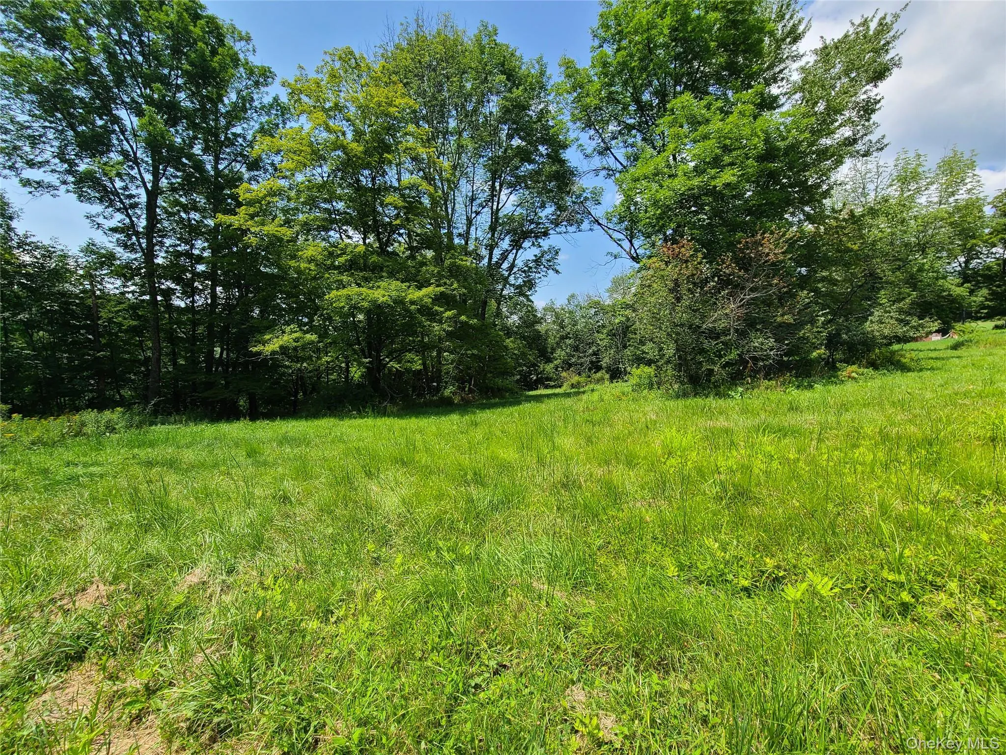 View of undeveloped land View of undeveloped land