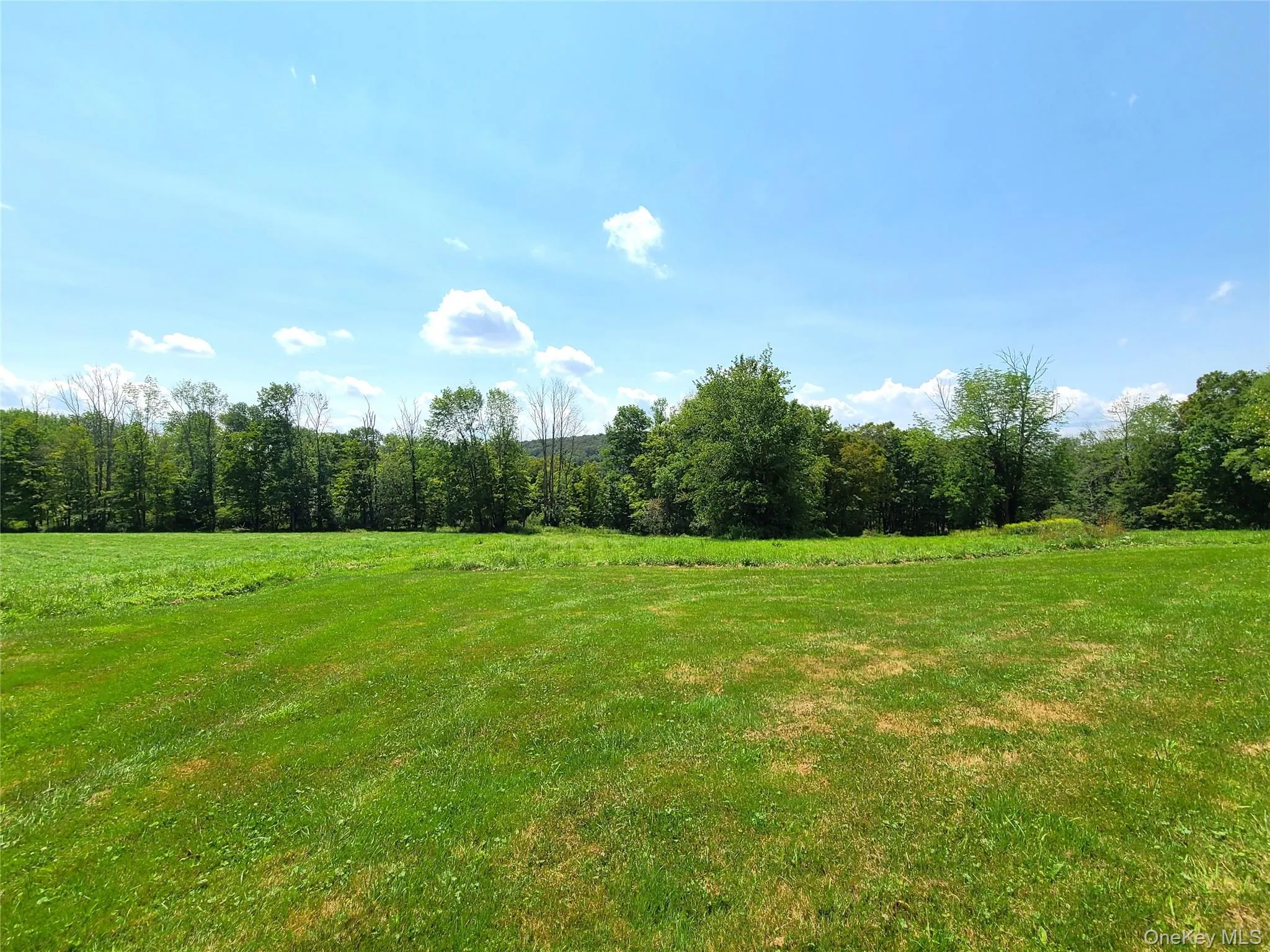 View of green lawn with a rural view and a view of trees View of green lawn with a rural view and a view of trees