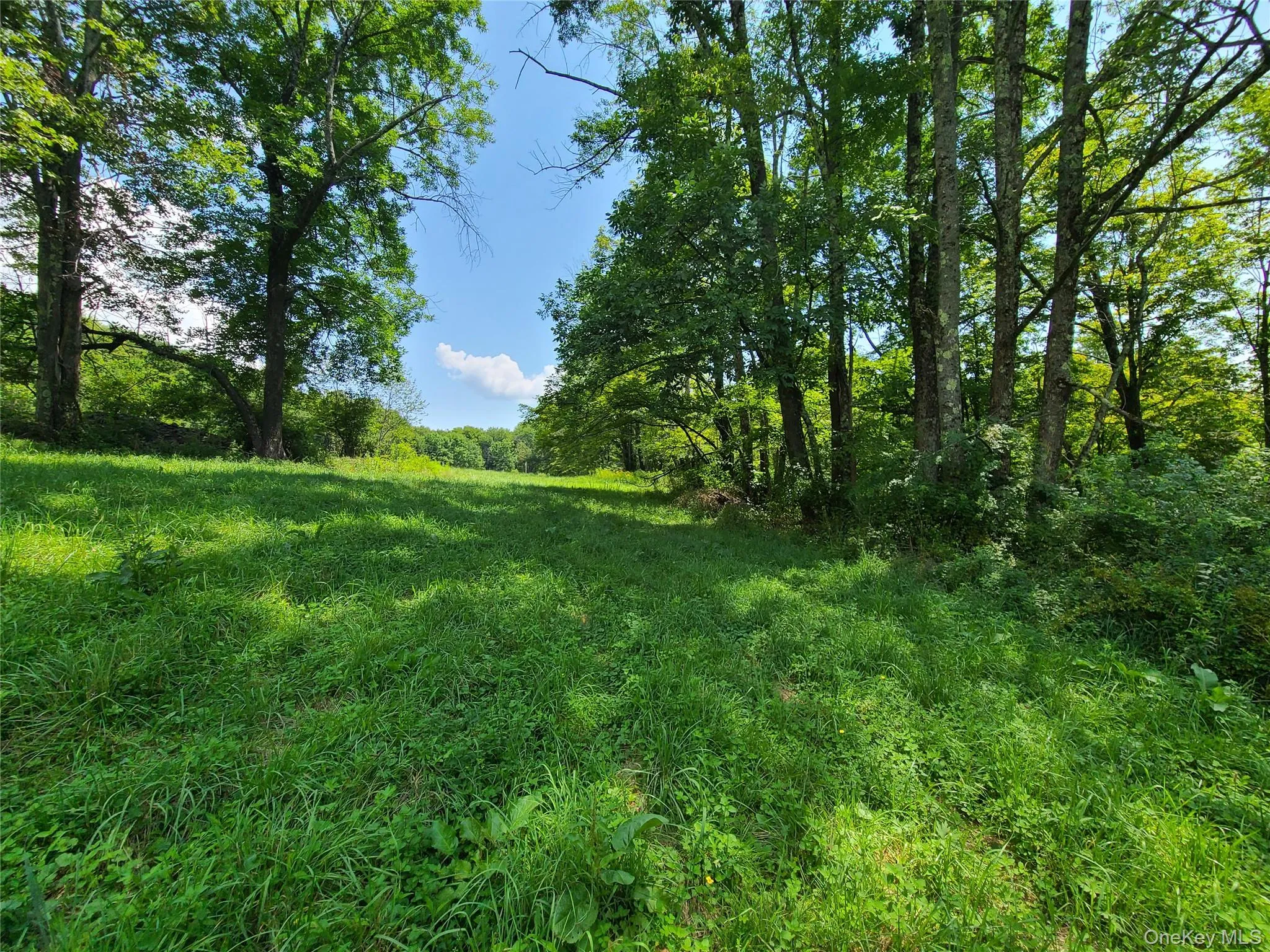 299-301 Stump Pond Road, Callicoon, NY, 6 Bedrooms Bedrooms, 14 Rooms Rooms,2 BathroomsBathrooms,Residential,For Rent,Stump Pond,0,969303 299-301 Stump Pond Road, Callicoon, NY, 6 Bedrooms Bedrooms, 14 Rooms Rooms,2 BathroomsBathrooms,Residential,For Rent,Stump Pond,0,969303