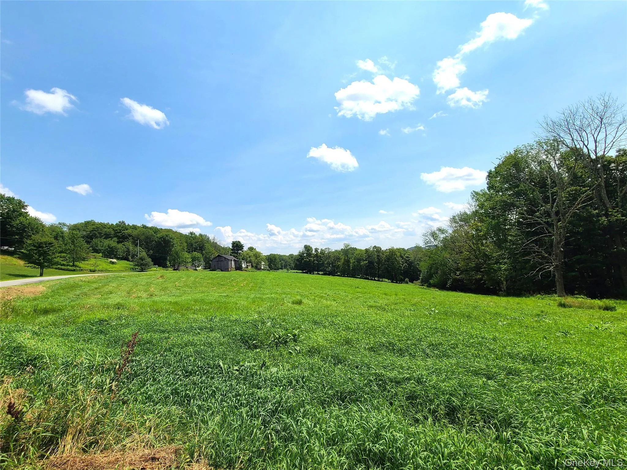 open fields open fields