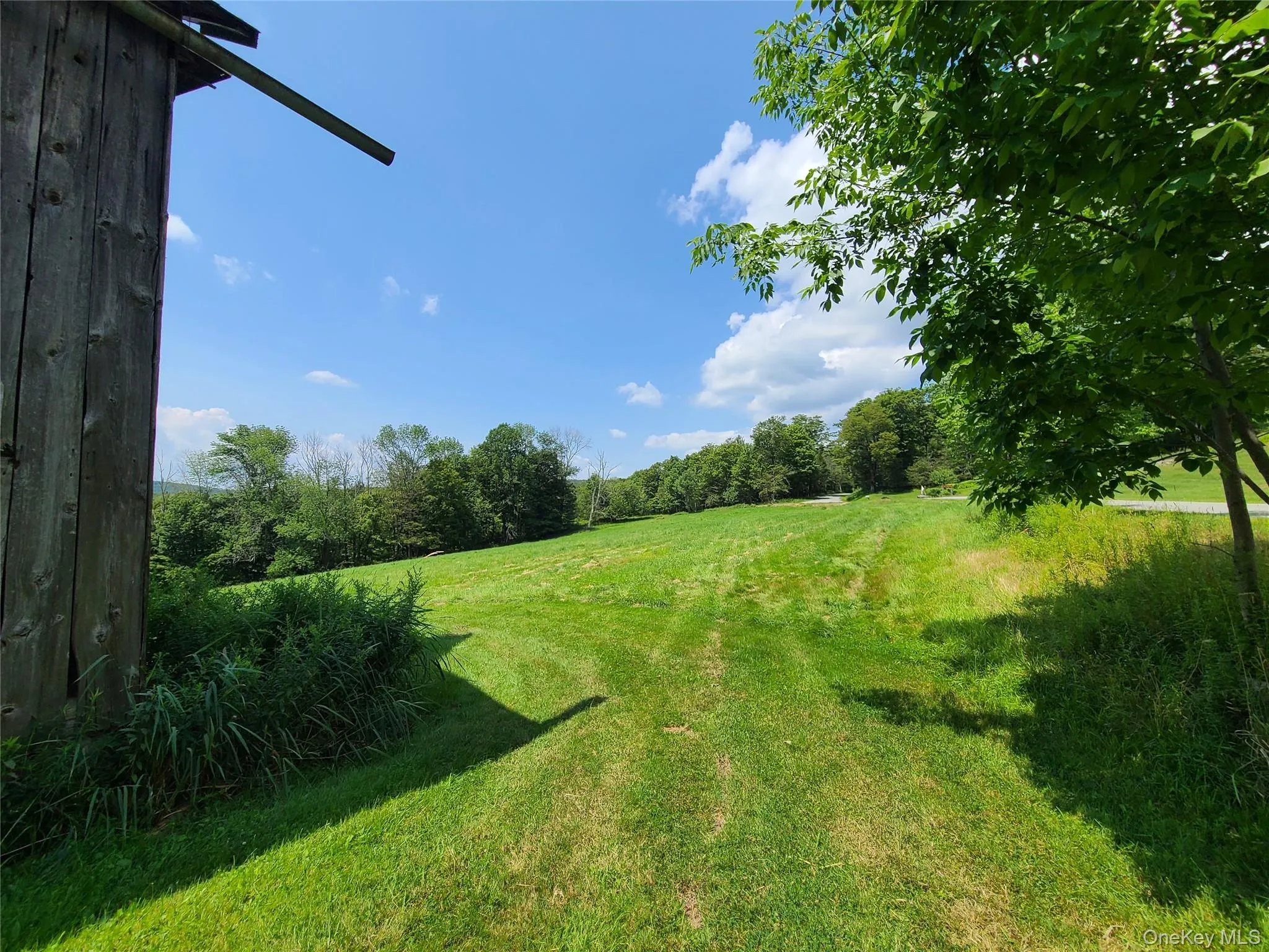 View of green lawn featuring a wooded view View of green lawn featuring a wooded view