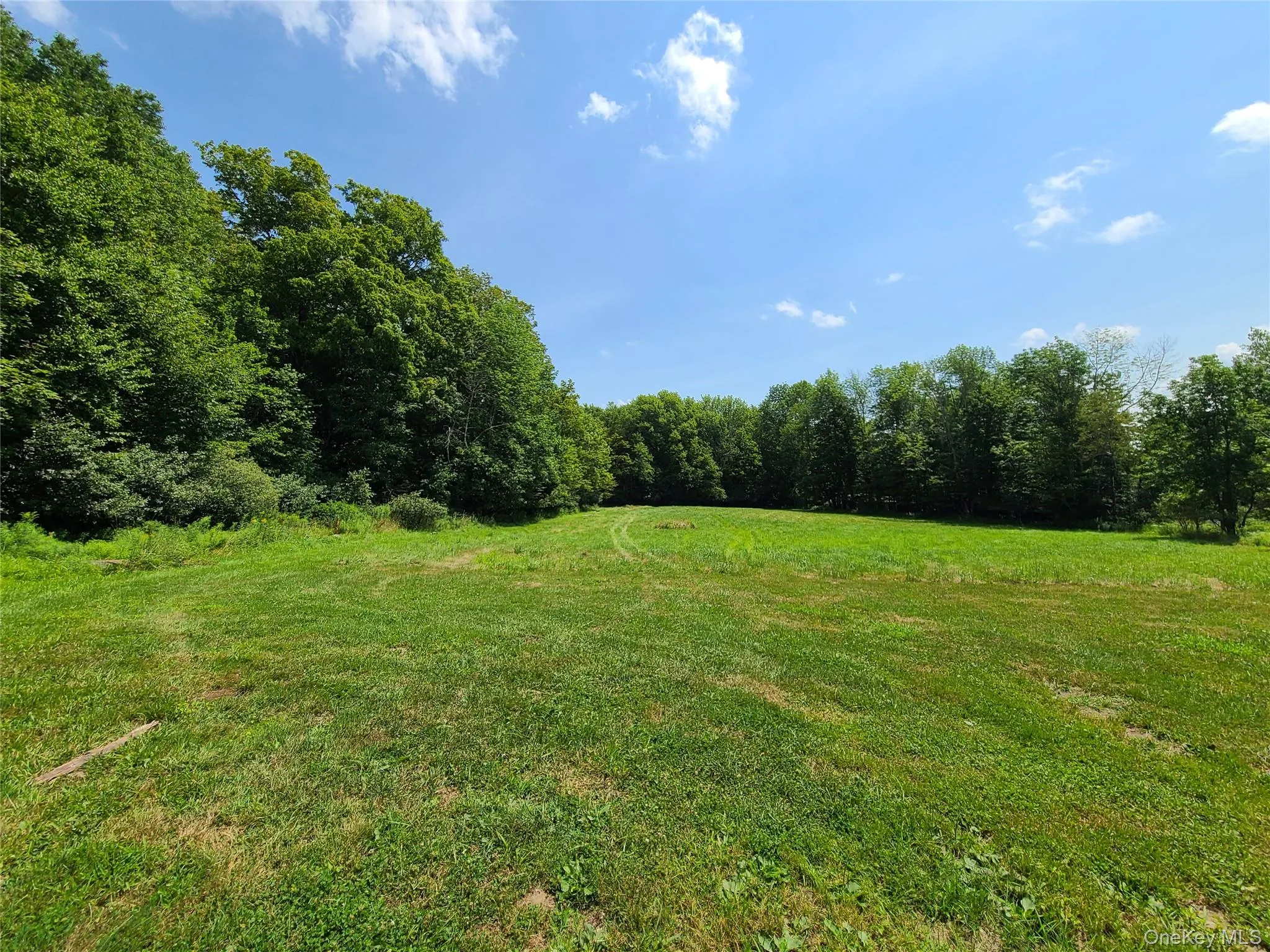 View of grassy yard featuring a view of trees View of grassy yard featuring a view of trees