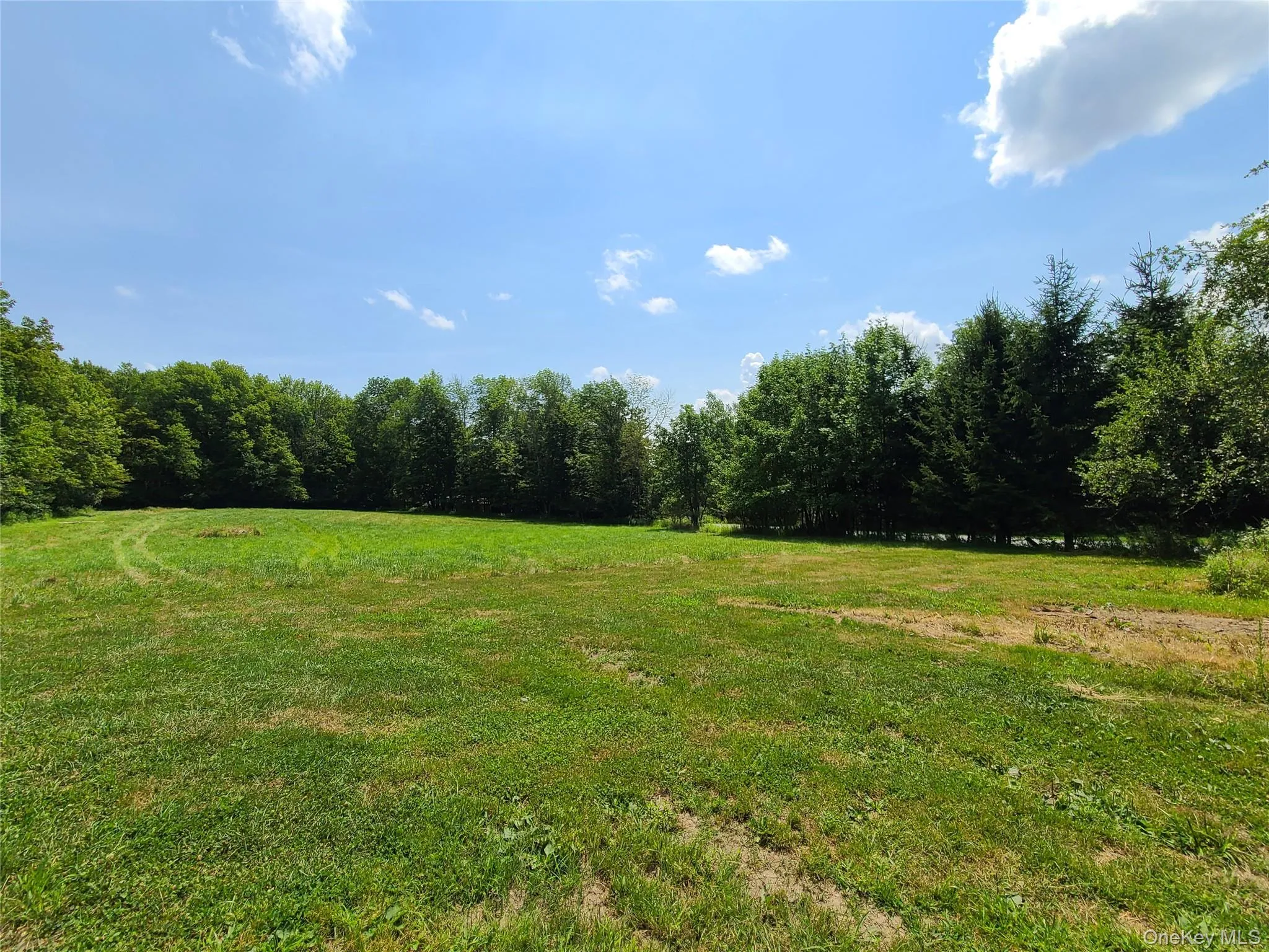 View of green lawn with a view of trees and a view of countryside View of green lawn with a view of trees and a view of countryside