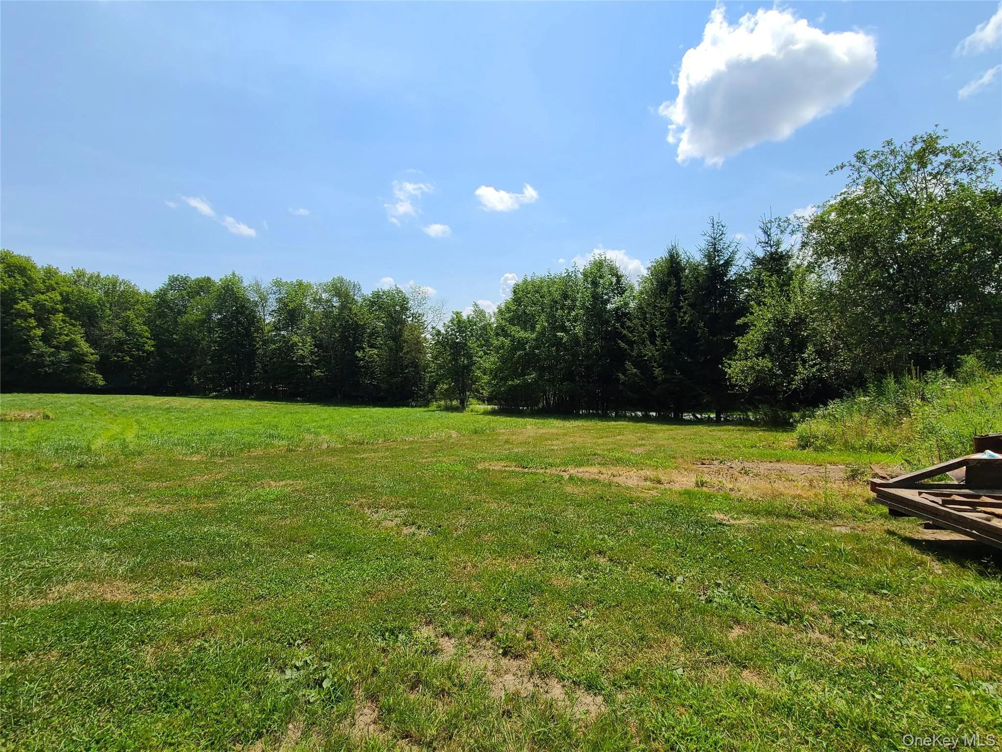 View of grassy yard with a wooded view View of grassy yard with a wooded view