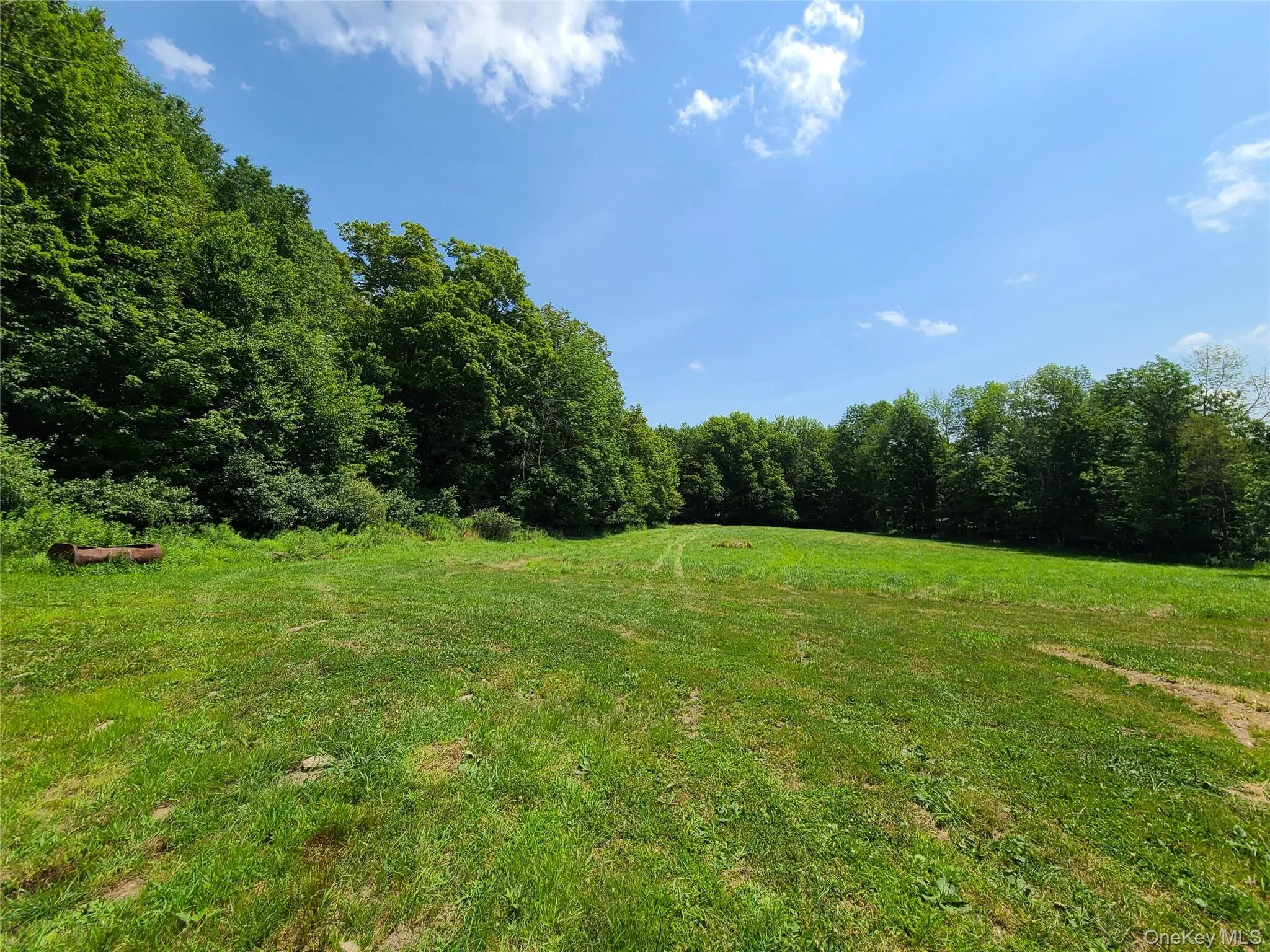 View of grassy yard with a forest view and a view of countryside View of grassy yard with a forest view and a view of countryside