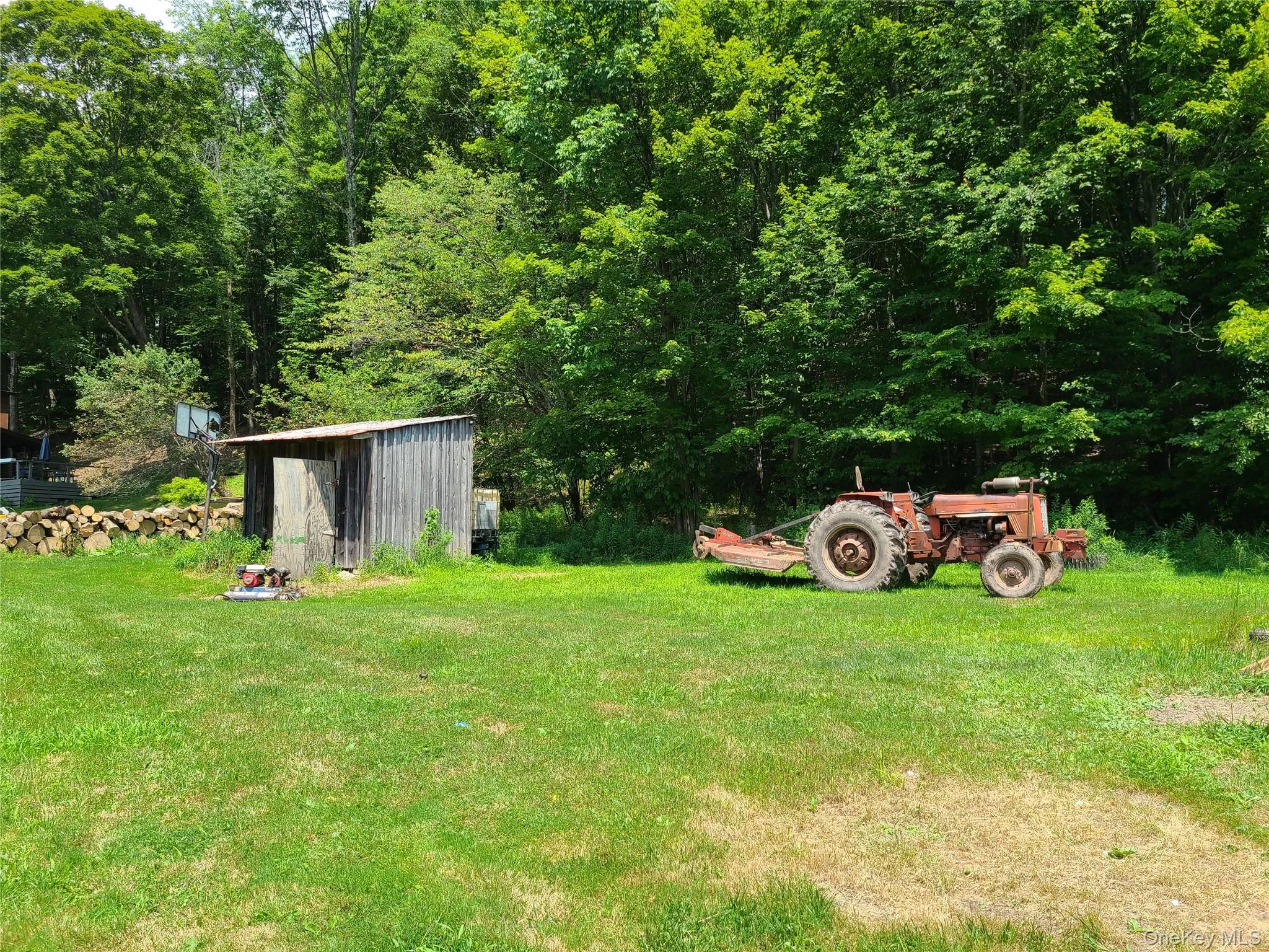 View of grassy yard with a storage shed View of grassy yard with a storage shed