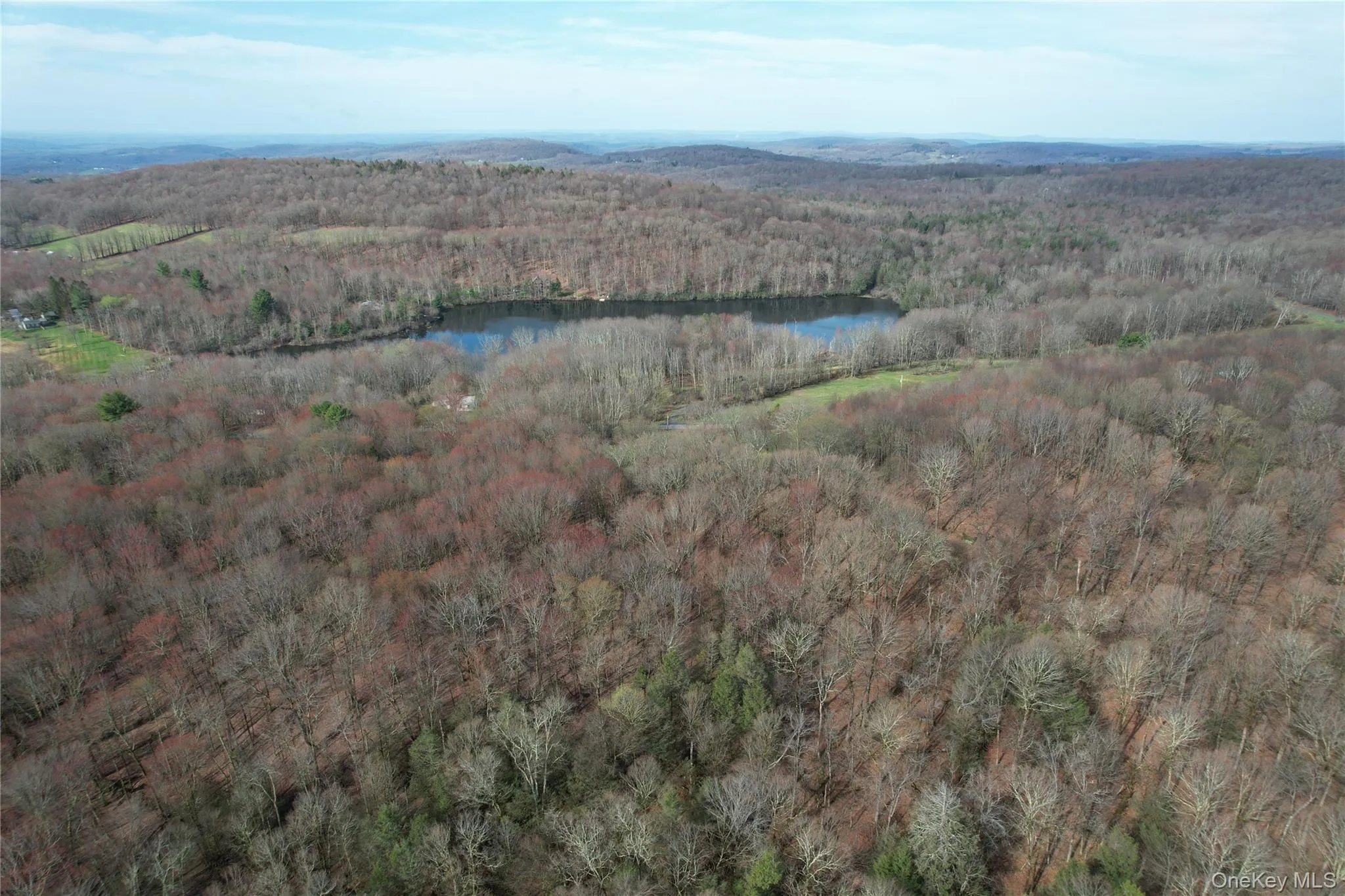 TBD Stump Pond Road, Callicoon, NY, ,Land,For Rent,Stump Pond,0,969311 TBD Stump Pond Road, Callicoon, NY, ,Land,For Rent,Stump Pond,0,969311