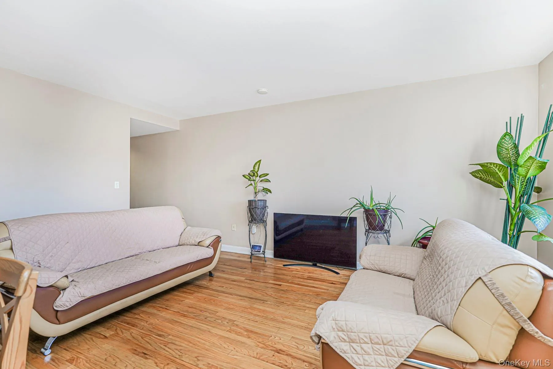 775 Lafayette, New York, NY, 2 Bedrooms Bedrooms, 4 Rooms Rooms,1 BathroomBathrooms,Residential,For Rent,Lafayette,0,969326 775 Lafayette, New York, NY, 2 Bedrooms Bedrooms, 4 Rooms Rooms,1 BathroomBathrooms,Residential,For Rent,Lafayette,0,969326