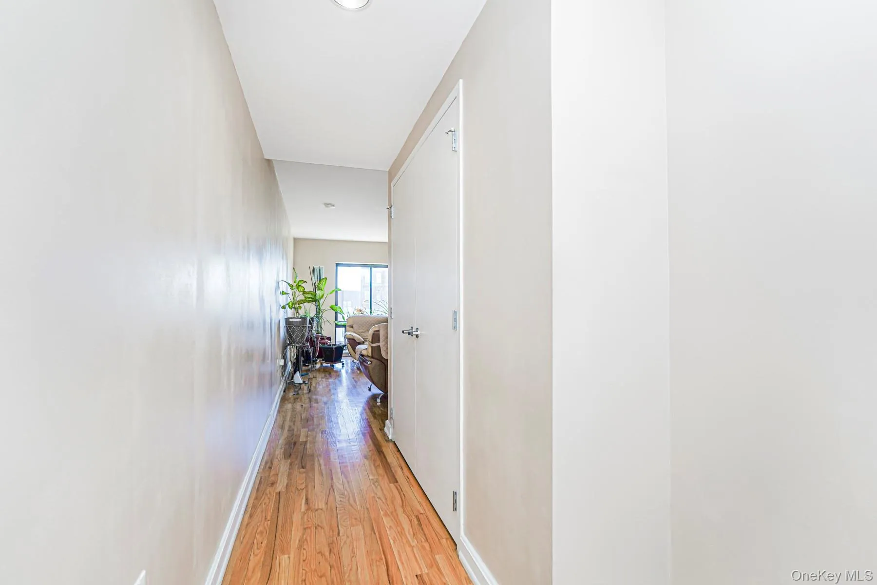775 Lafayette, New York, NY, 2 Bedrooms Bedrooms, 4 Rooms Rooms,1 BathroomBathrooms,Residential,For Rent,Lafayette,0,969326 775 Lafayette, New York, NY, 2 Bedrooms Bedrooms, 4 Rooms Rooms,1 BathroomBathrooms,Residential,For Rent,Lafayette,0,969326