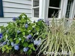 16A Bishop Avenue, Southampton, NY, 1 Bedroom Bedrooms, 3 Rooms Rooms,1 BathroomBathrooms,Residential Lease,For Rent,Bishop,0,969456 16A Bishop Avenue, Southampton, NY, 1 Bedroom Bedrooms, 3 Rooms Rooms,1 BathroomBathrooms,Residential Lease,For Rent,Bishop,0,969456