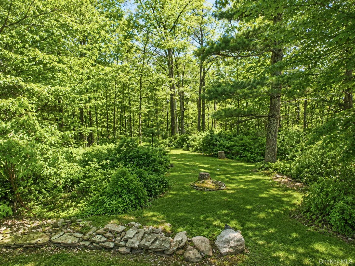 Wooded landscape featuring a manicured lawn area surrounded by mature trees and varied green foliage Wooded landscape featuring a manicured lawn area surrounded by mature trees and varied green foliage