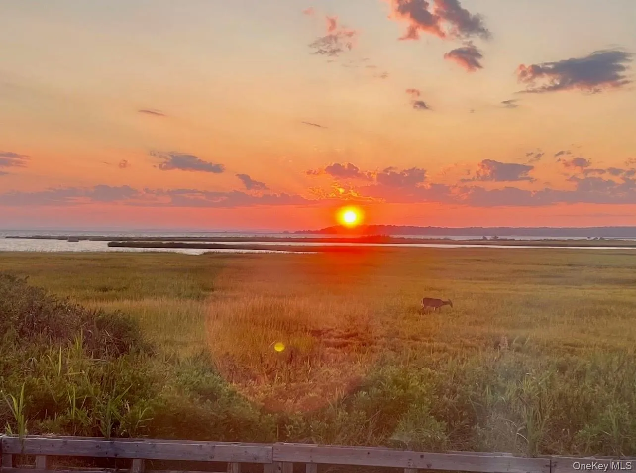 57 Nash Avenue, Southampton, NY, 2 Bedrooms Bedrooms, 5 Rooms Rooms,1 BathroomBathrooms,Residential Lease,For Rent,Nash,0,969644 57 Nash Avenue, Southampton, NY, 2 Bedrooms Bedrooms, 5 Rooms Rooms,1 BathroomBathrooms,Residential Lease,For Rent,Nash,0,969644