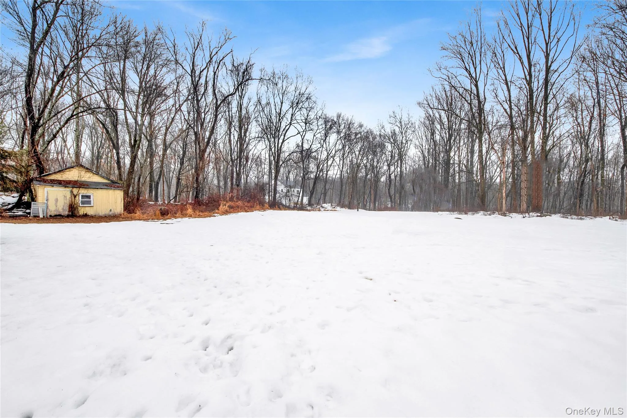 Yard covered in snow featuring a forest view Yard covered in snow featuring a forest view