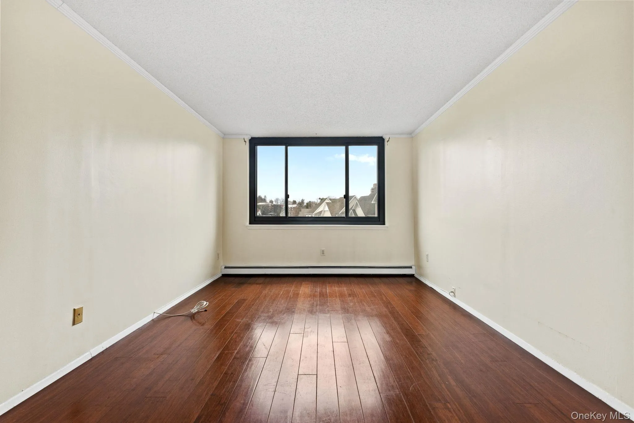 Large sunny window. Large sunny window.