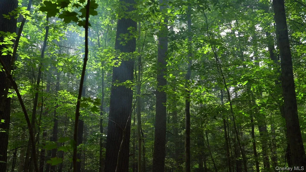 land mother nature all around land mother nature all around