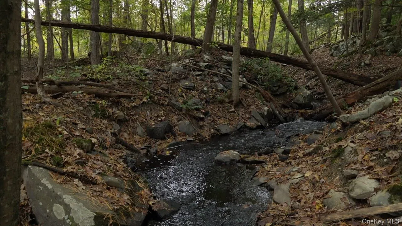 Beautiful setting for this almost 3 acre parcel and babbling creek Beautiful setting for this almost 3 acre parcel and babbling creek