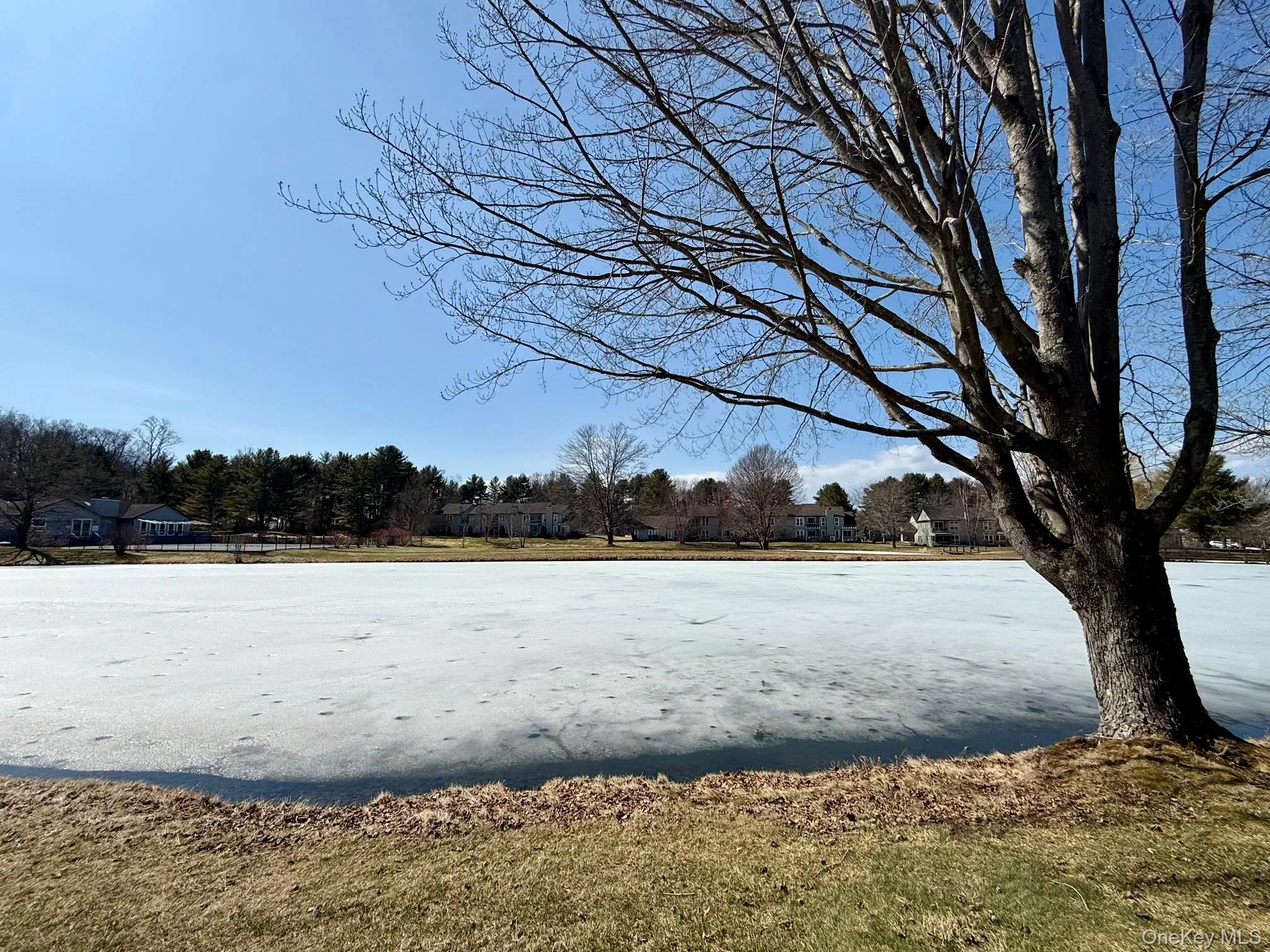 14 Pond Drive, Rhinebeck, NY, 2 Bedrooms Bedrooms, 5 Rooms Rooms,2 BathroomsBathrooms,Residential Lease,For Rent,Pond,0,969926 14 Pond Drive, Rhinebeck, NY, 2 Bedrooms Bedrooms, 5 Rooms Rooms,2 BathroomsBathrooms,Residential Lease,For Rent,Pond,0,969926