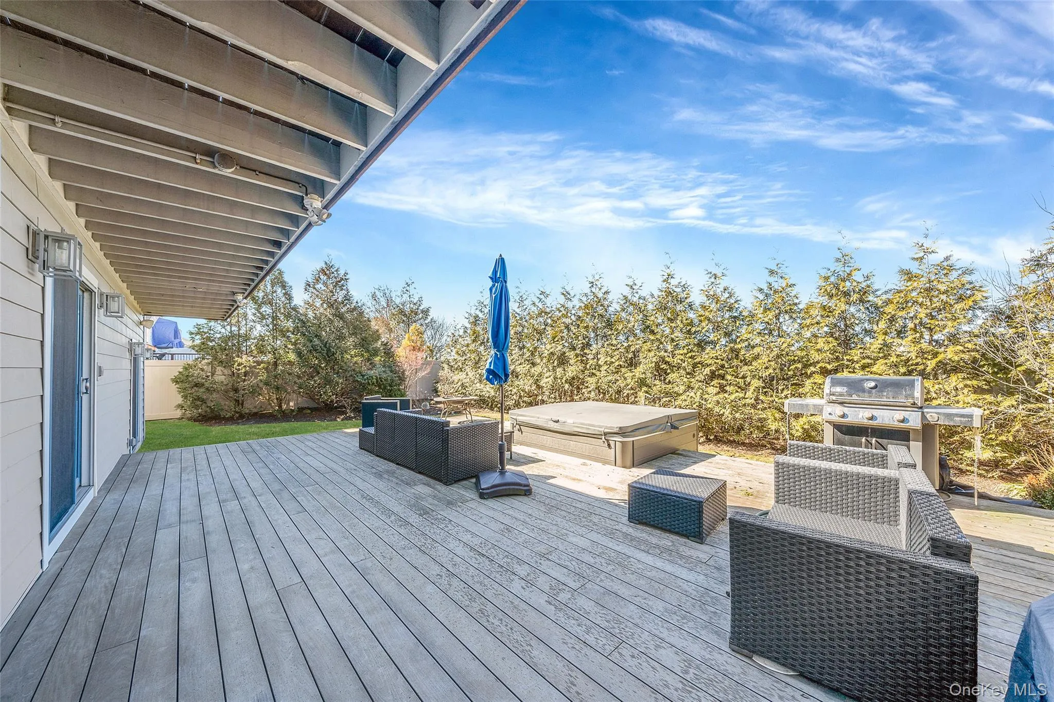 backyard backyard