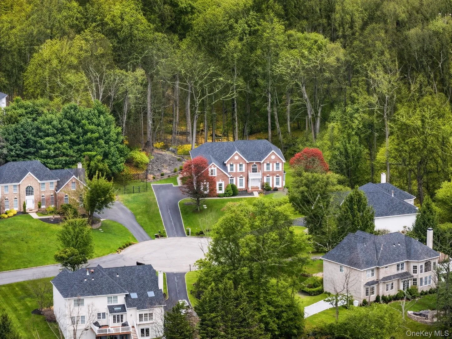 Cul-de-sac with 5 homes surrounded by privacy trees. Cul-de-sac with 5 homes surrounded by privacy trees.