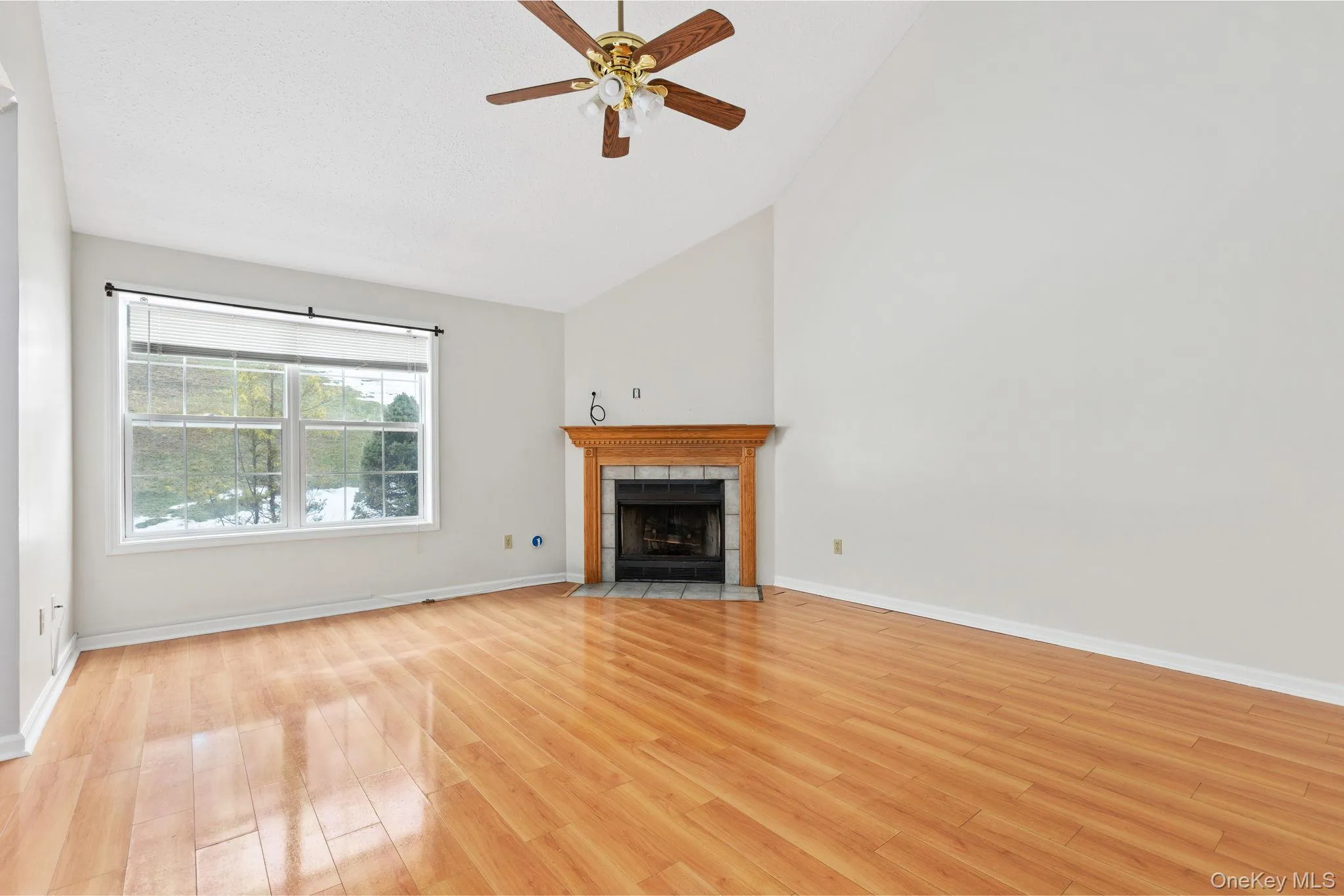 Living Room Living Room