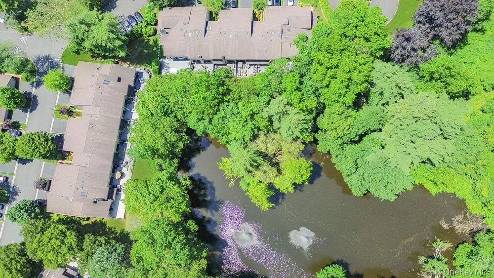 Pond Pond