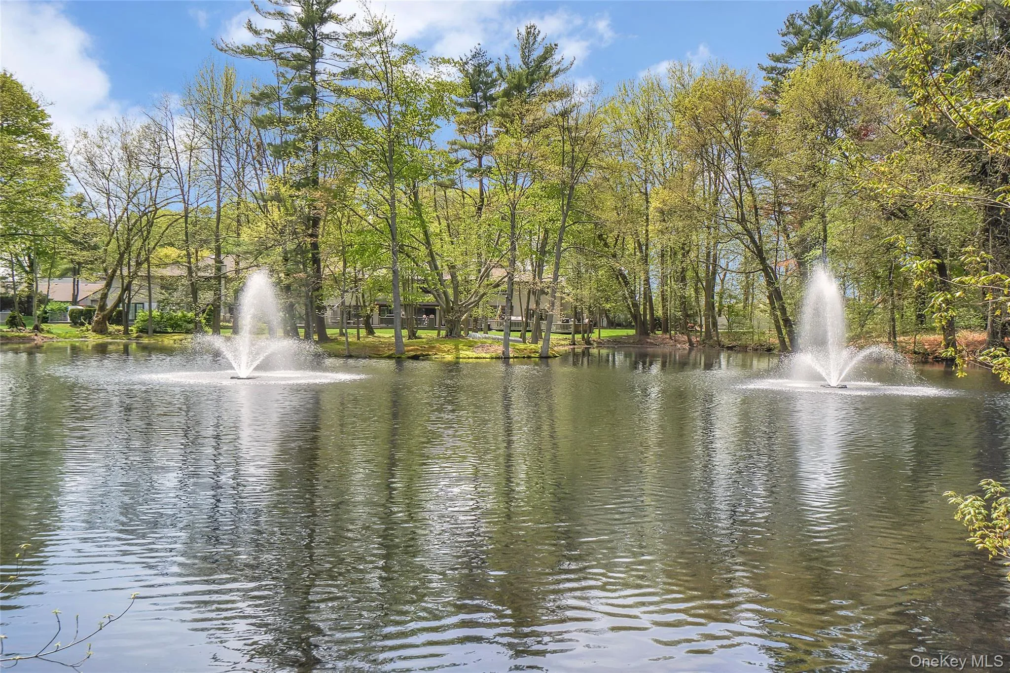 Water view with a tree filled landscape Water view with a tree filled landscape
