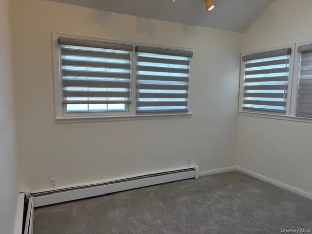 New Carpet New Carpet