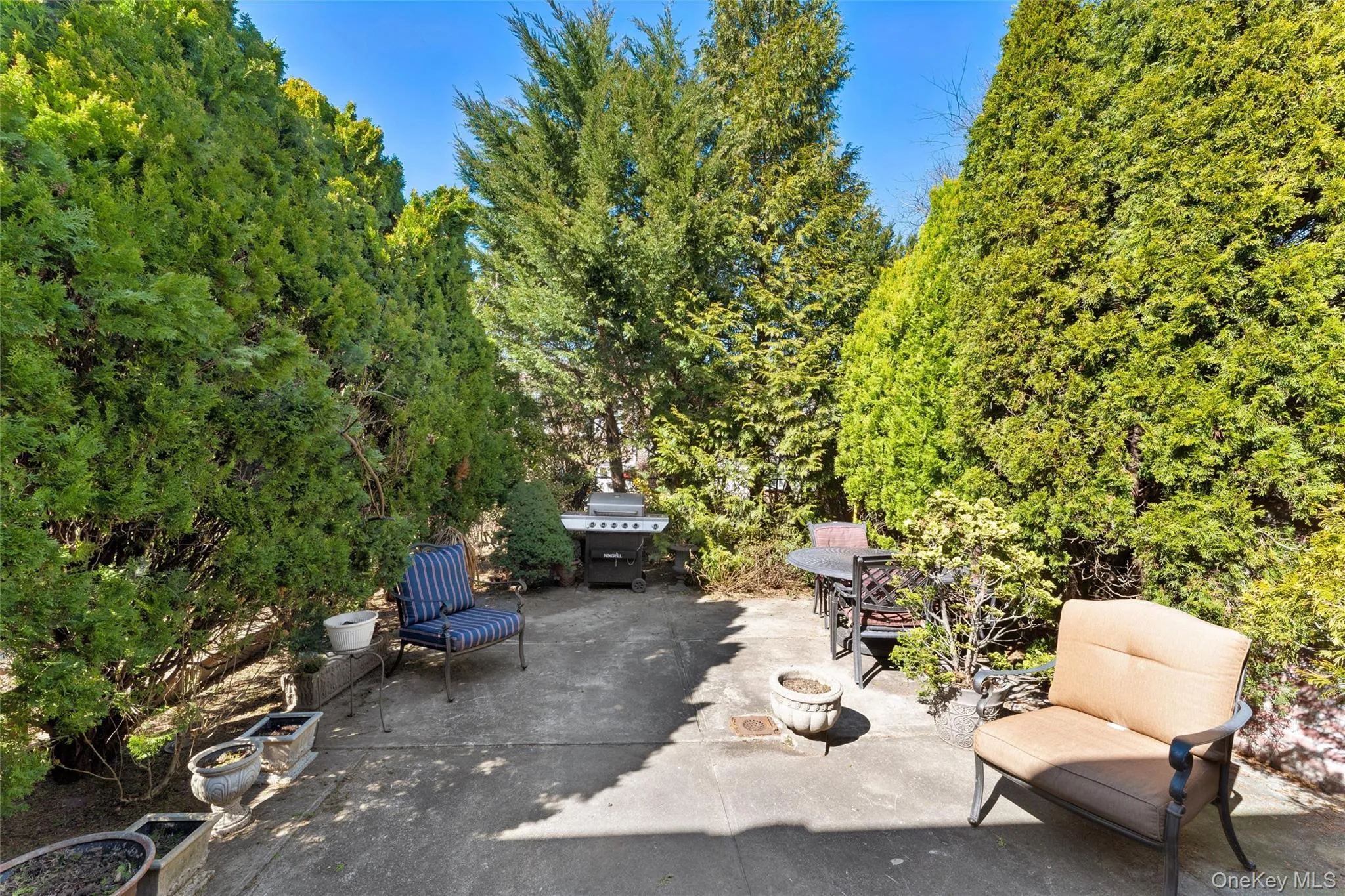 85-71 67th Avenue, New York, NY, 2 Bedrooms Bedrooms, 6 Rooms Rooms,1 BathroomBathrooms,Residential,For Rent,67th,0,970452 85-71 67th Avenue, New York, NY, 2 Bedrooms Bedrooms, 6 Rooms Rooms,1 BathroomBathrooms,Residential,For Rent,67th,0,970452