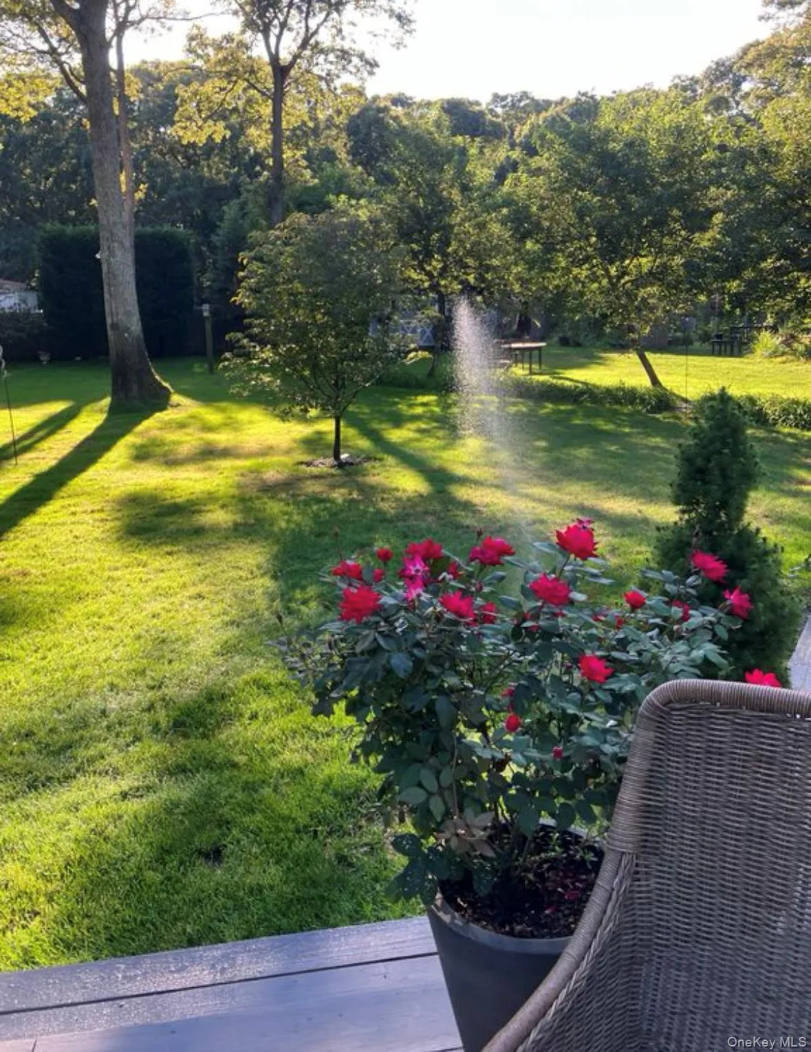 23 Westbury Road, Southampton, NY, 4 Bedrooms Bedrooms, 8 Rooms Rooms,3 BathroomsBathrooms,Residential Lease,For Rent,Westbury,0,970480 23 Westbury Road, Southampton, NY, 4 Bedrooms Bedrooms, 8 Rooms Rooms,3 BathroomsBathrooms,Residential Lease,For Rent,Westbury,0,970480