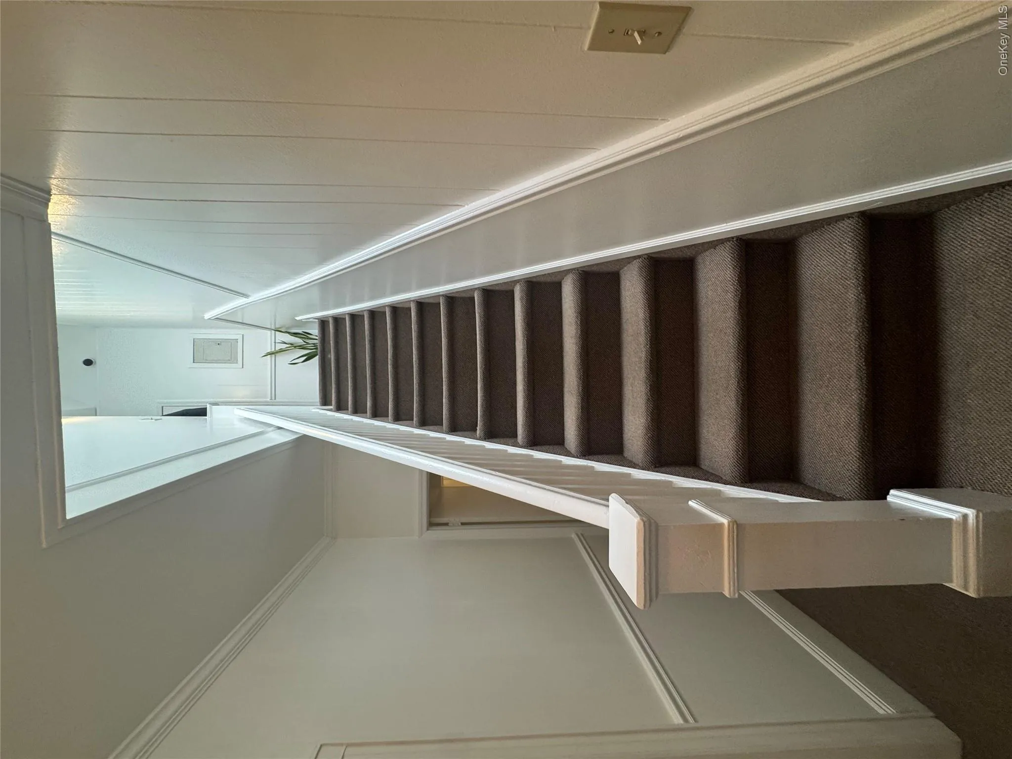 7027 68th Place, New York, NY, 5 Bedrooms Bedrooms, 12 Rooms Rooms,2 BathroomsBathrooms,Residential,For Rent,68th,0,970601 7027 68th Place, New York, NY, 5 Bedrooms Bedrooms, 12 Rooms Rooms,2 BathroomsBathrooms,Residential,For Rent,68th,0,970601
