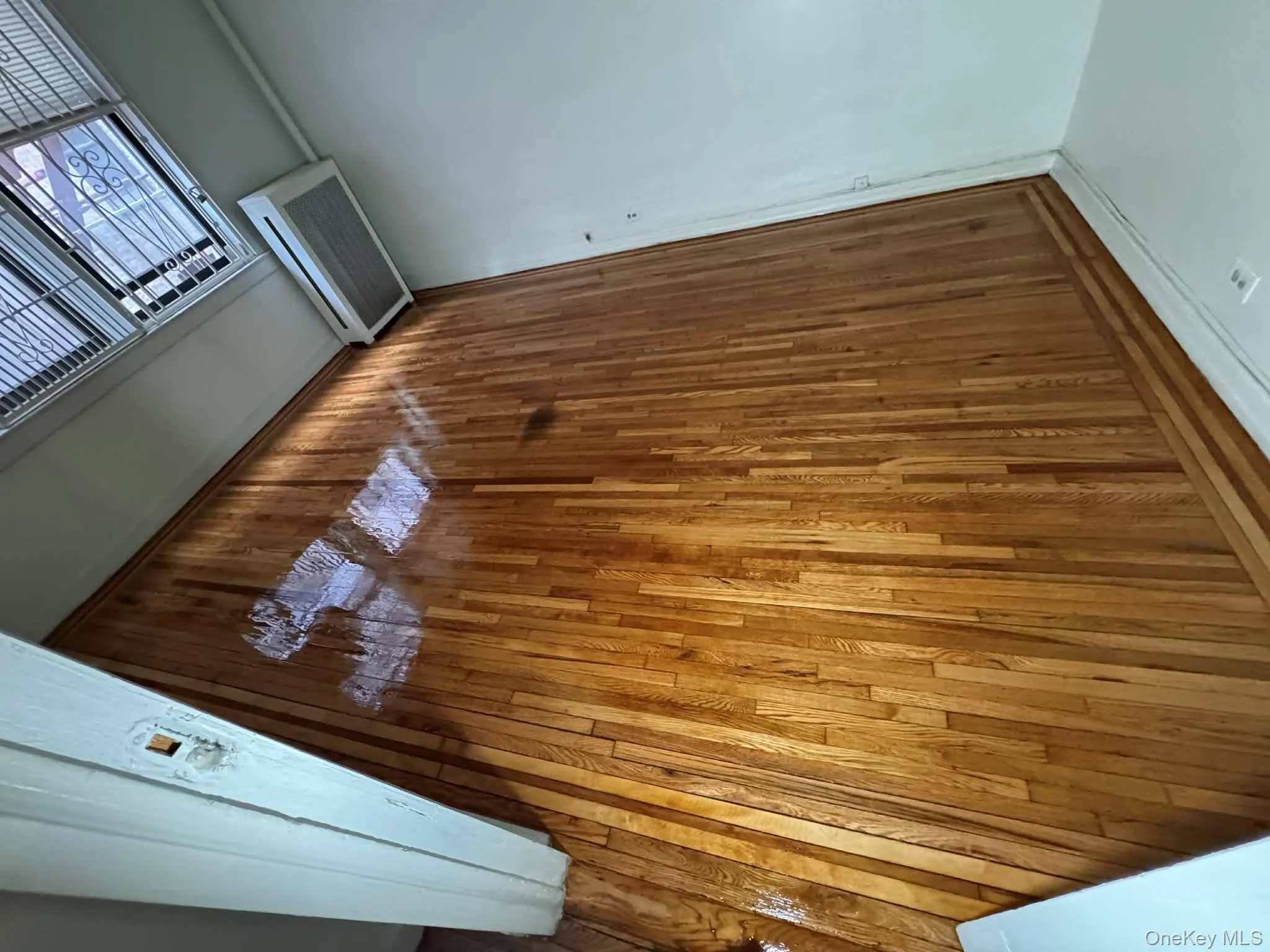 2187 Holland Avenue, New York, NY, 1 Bedroom Bedrooms, 4 Rooms Rooms,1 BathroomBathrooms,Residential Lease,For Rent,Holland,0,970631 2187 Holland Avenue, New York, NY, 1 Bedroom Bedrooms, 4 Rooms Rooms,1 BathroomBathrooms,Residential Lease,For Rent,Holland,0,970631