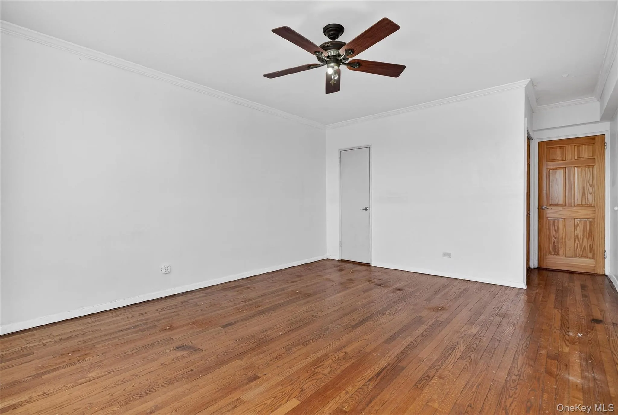 5601 Riverdale Avenue, New York, NY, 2 Bedrooms Bedrooms, 5 Rooms Rooms,1 BathroomBathrooms,Residential,For Rent,Riverdale,0,970654 5601 Riverdale Avenue, New York, NY, 2 Bedrooms Bedrooms, 5 Rooms Rooms,1 BathroomBathrooms,Residential,For Rent,Riverdale,0,970654