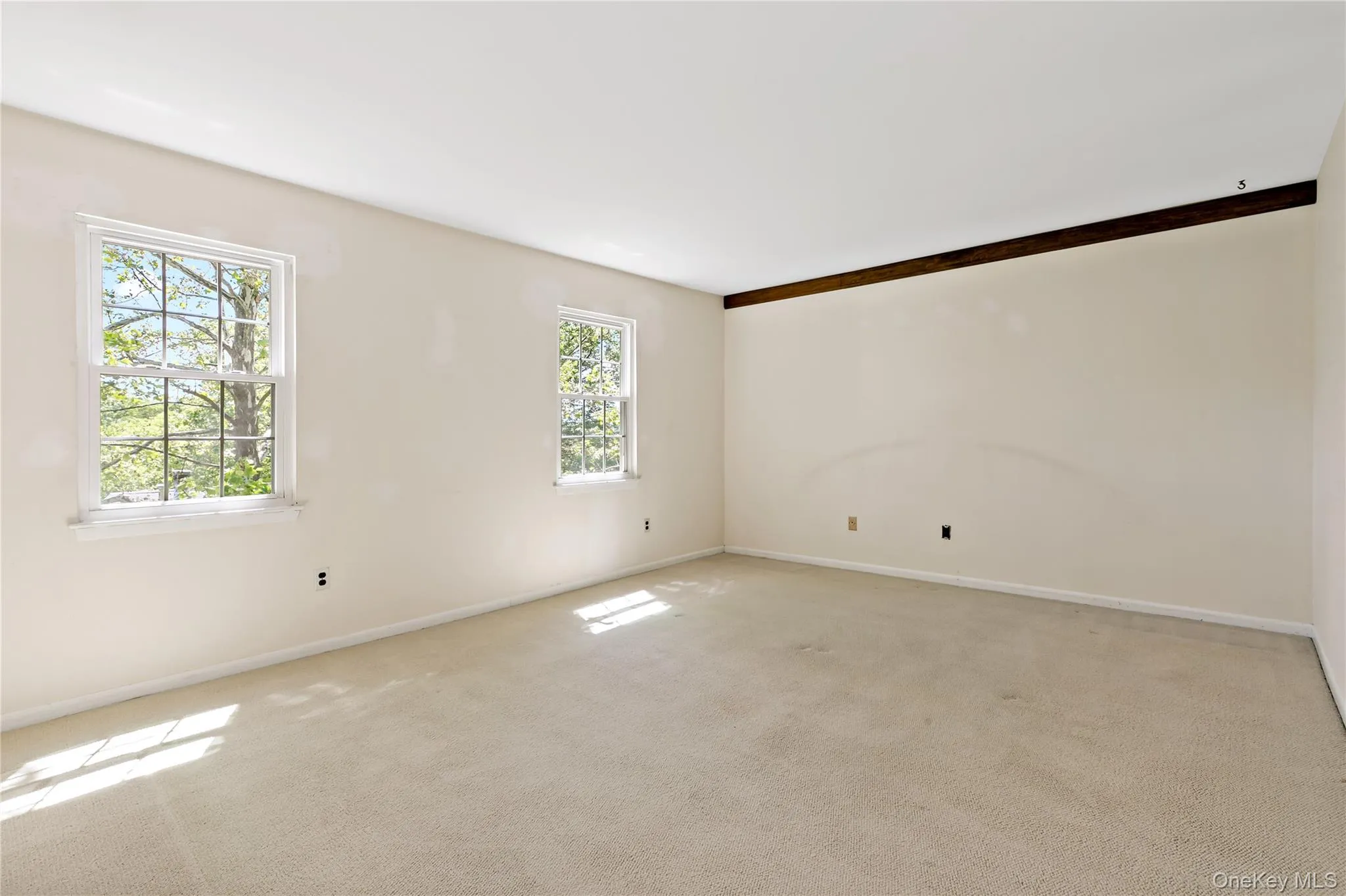 402 Carrollwood Drive, Greenburgh, NY, 2 Bedrooms Bedrooms, 5 Rooms Rooms,2 BathroomsBathrooms,Residential,For Rent,Carrollwood,0,970670 402 Carrollwood Drive, Greenburgh, NY, 2 Bedrooms Bedrooms, 5 Rooms Rooms,2 BathroomsBathrooms,Residential,For Rent,Carrollwood,0,970670