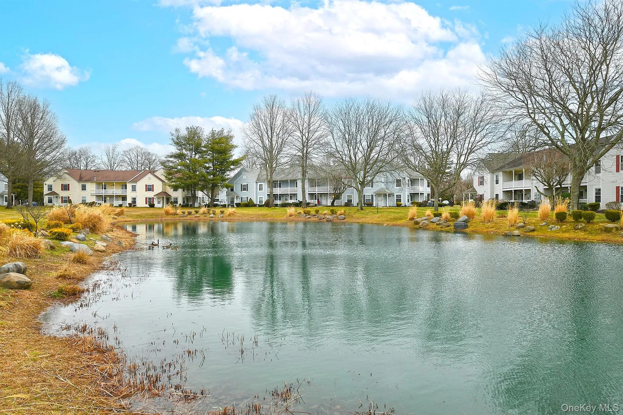 171 Fairview Circle, Brookhaven, NY, 2 Bedrooms Bedrooms, 5 Rooms Rooms,1 BathroomBathrooms,Residential Lease,For Rent,Fairview,0,970688 171 Fairview Circle, Brookhaven, NY, 2 Bedrooms Bedrooms, 5 Rooms Rooms,1 BathroomBathrooms,Residential Lease,For Rent,Fairview,0,970688