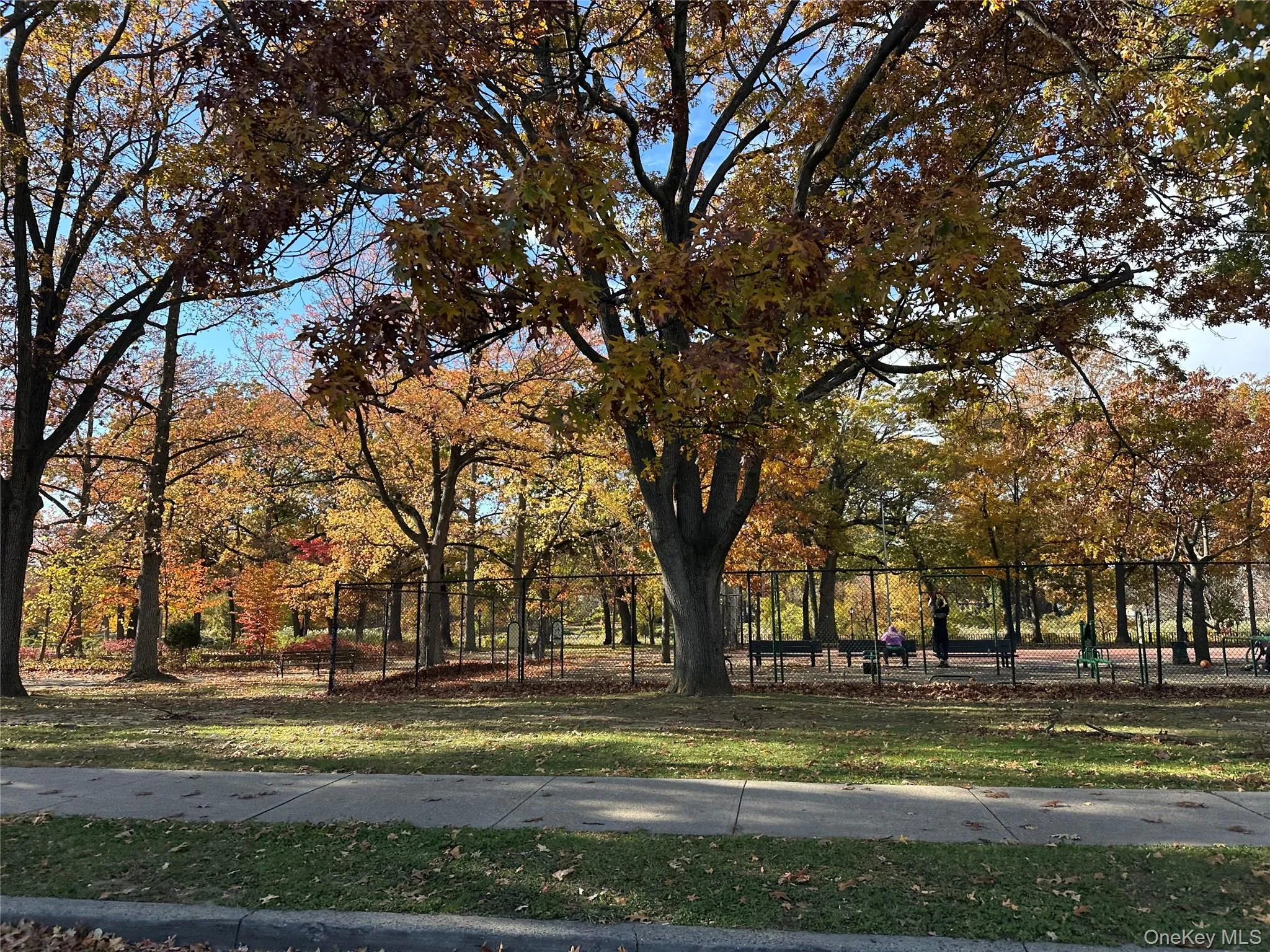 Surrounding community featuring view of scattered trees Surrounding community featuring view of scattered trees