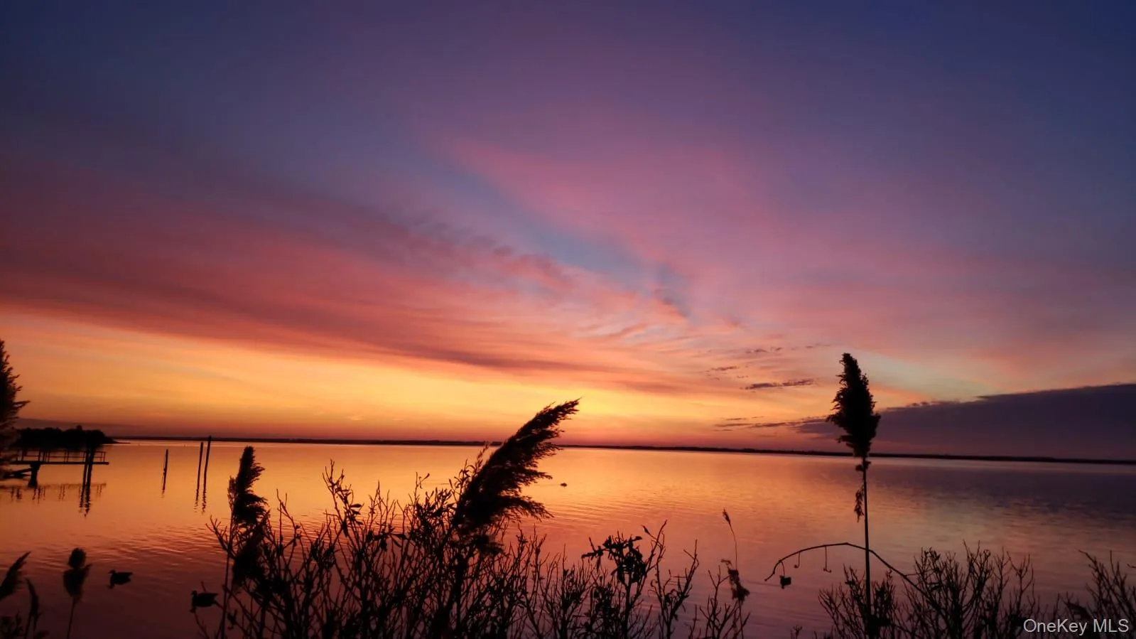 40 Tuthill Point Road, Brookhaven, NY, 4 Bedrooms Bedrooms, 11 Rooms Rooms,3 BathroomsBathrooms,Residential Lease,For Rent,Tuthill Point,0,970791 40 Tuthill Point Road, Brookhaven, NY, 4 Bedrooms Bedrooms, 11 Rooms Rooms,3 BathroomsBathrooms,Residential Lease,For Rent,Tuthill Point,0,970791