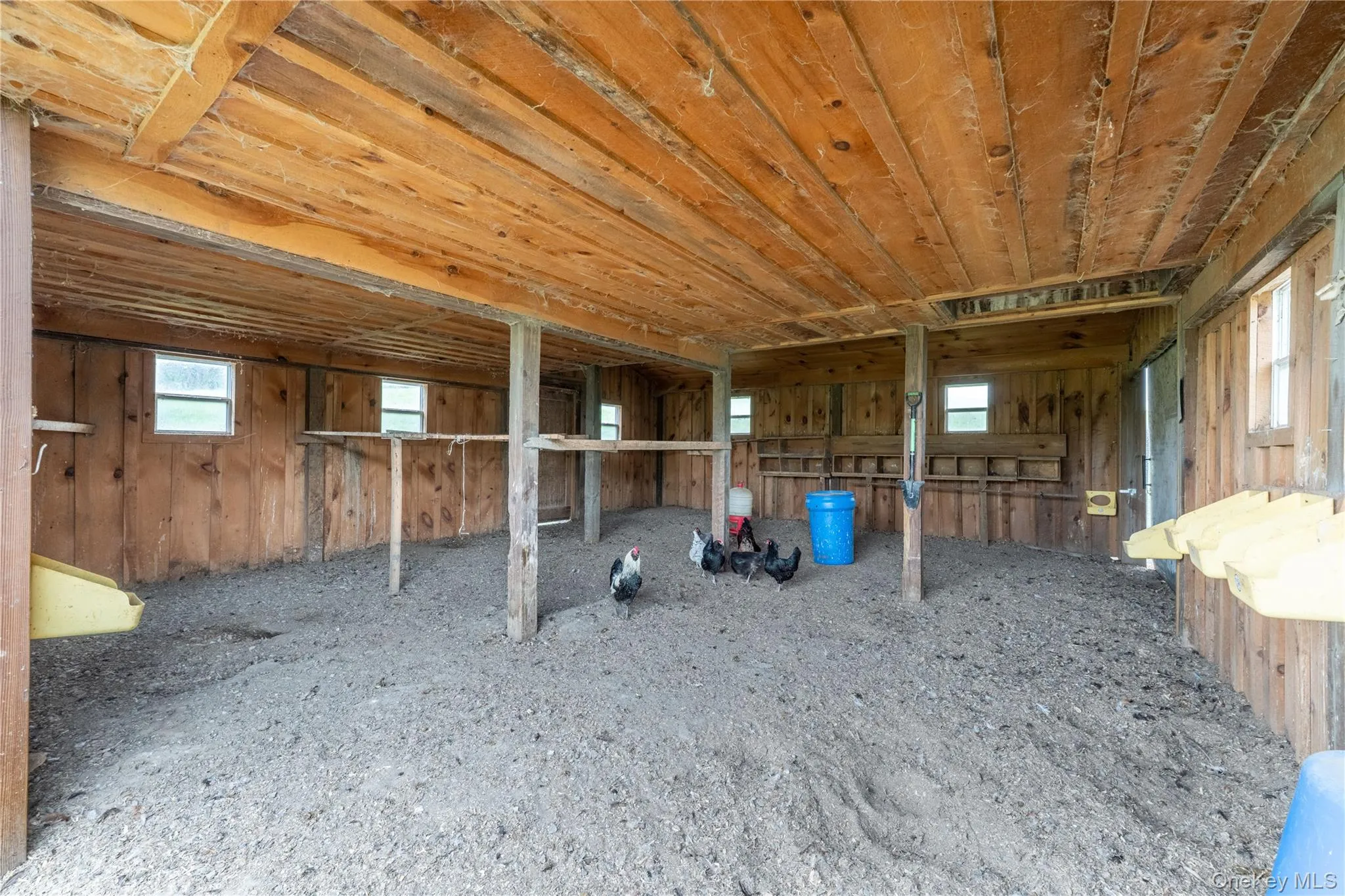 Interior Red Barn 725 sq ft. Say "Hello" to the girls! Interior Red Barn 725 sq ft. Say "Hello" to the girls!