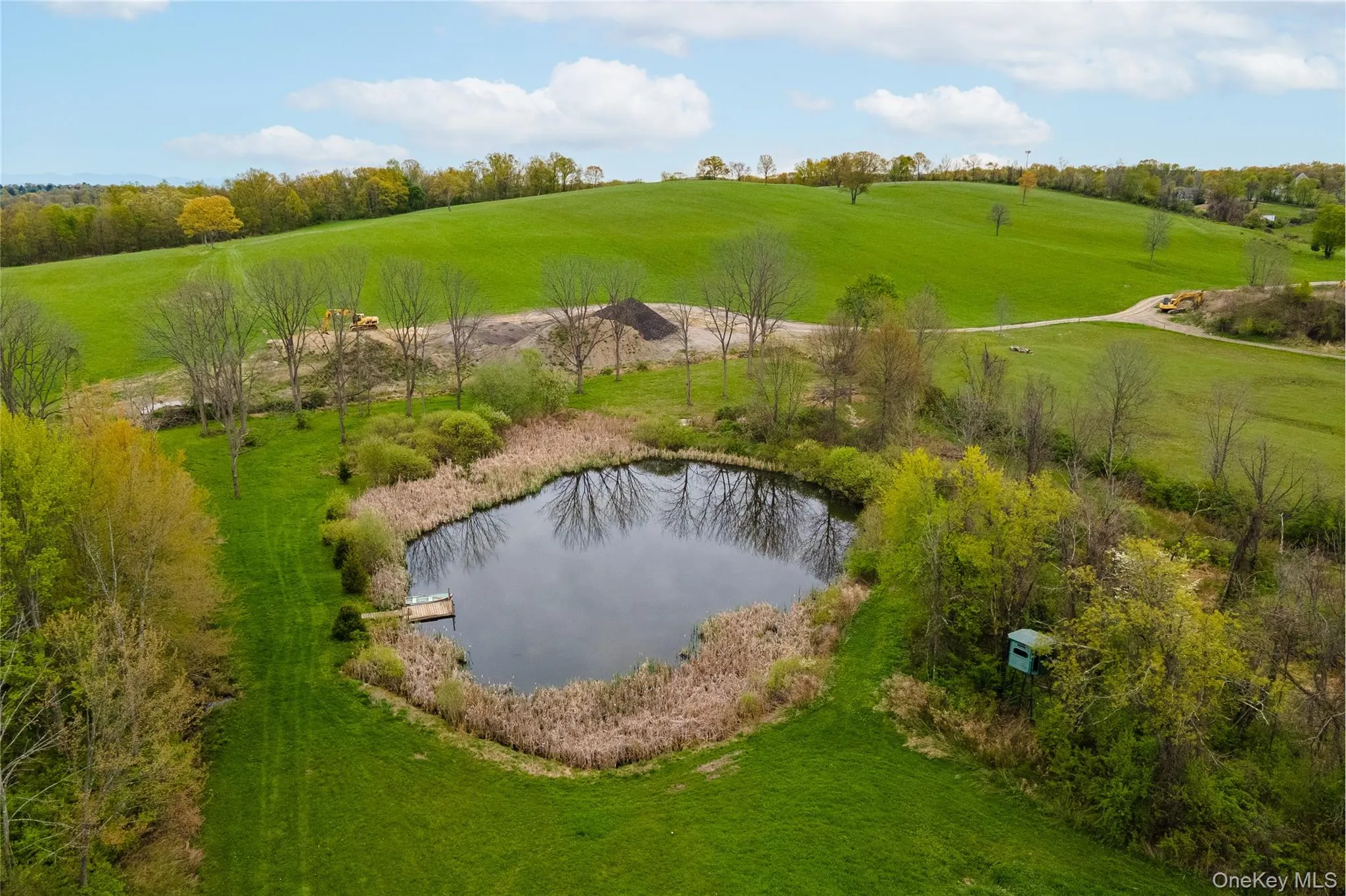 Expansive property featuring a tranquil pond with a small dock, stocked with largemouth bass and sunfish surrounded by mature trees Expansive property featuring a tranquil pond with a small dock, stocked with largemouth bass and sunfish surrounded by mature trees