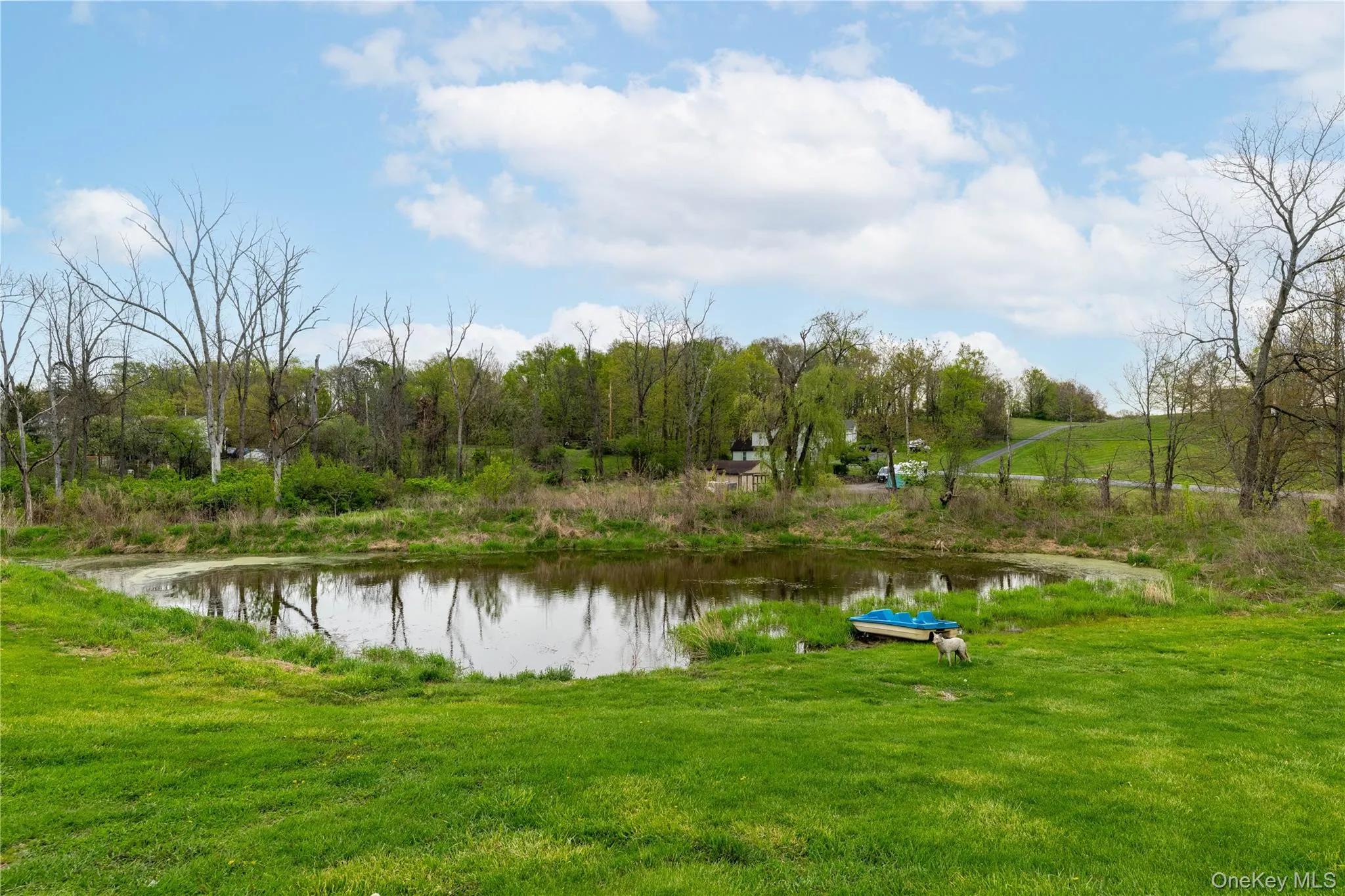 Fish in your private pond for largemouth bass and sunfish Fish in your private pond for largemouth bass and sunfish