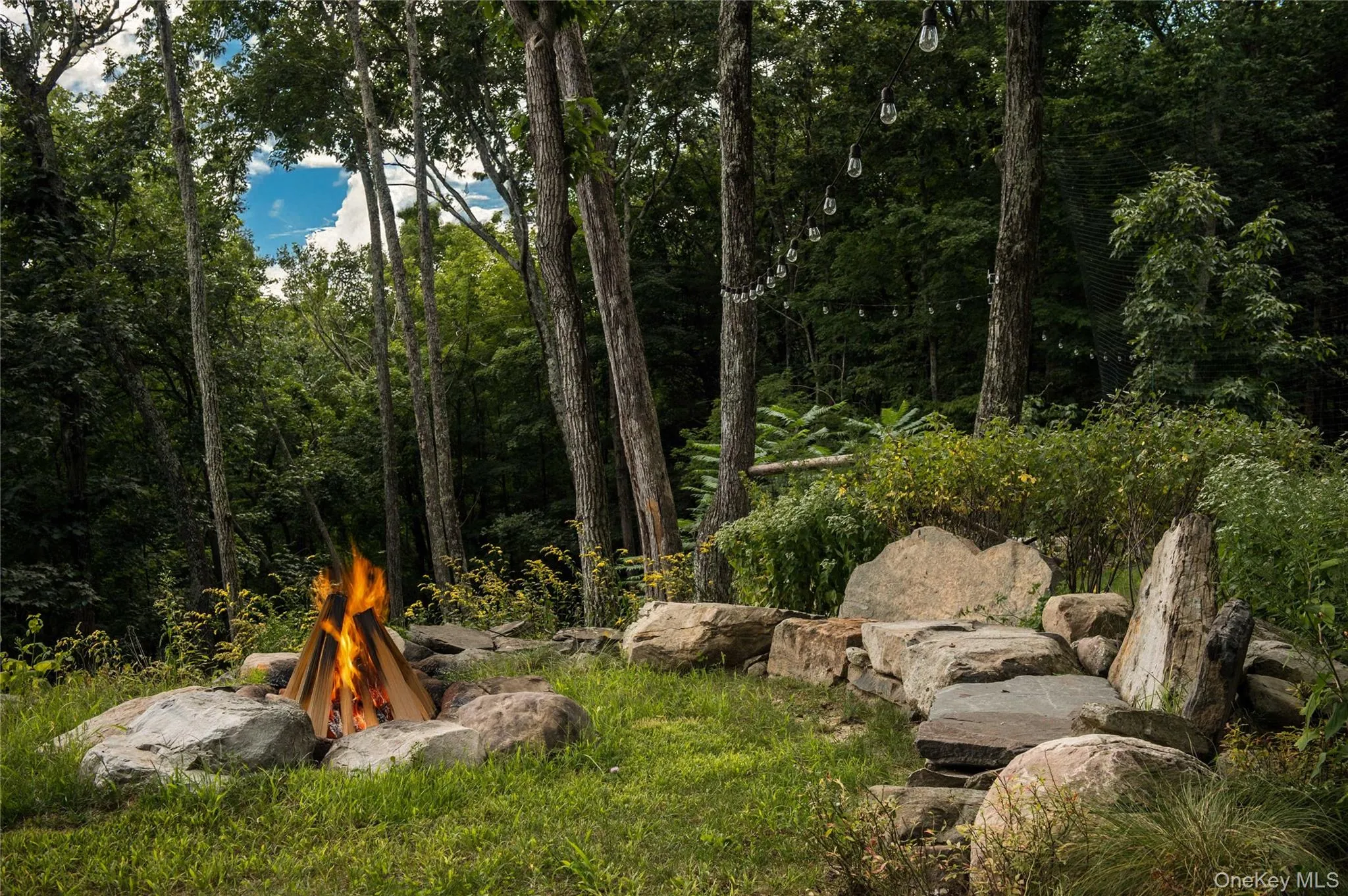 55 Nordic Drive, Woodstock, NY, 4 Bedrooms Bedrooms, 8 Rooms Rooms,2 BathroomsBathrooms,Residential Lease,For Rent,Nordic,0,970832 55 Nordic Drive, Woodstock, NY, 4 Bedrooms Bedrooms, 8 Rooms Rooms,2 BathroomsBathrooms,Residential Lease,For Rent,Nordic,0,970832