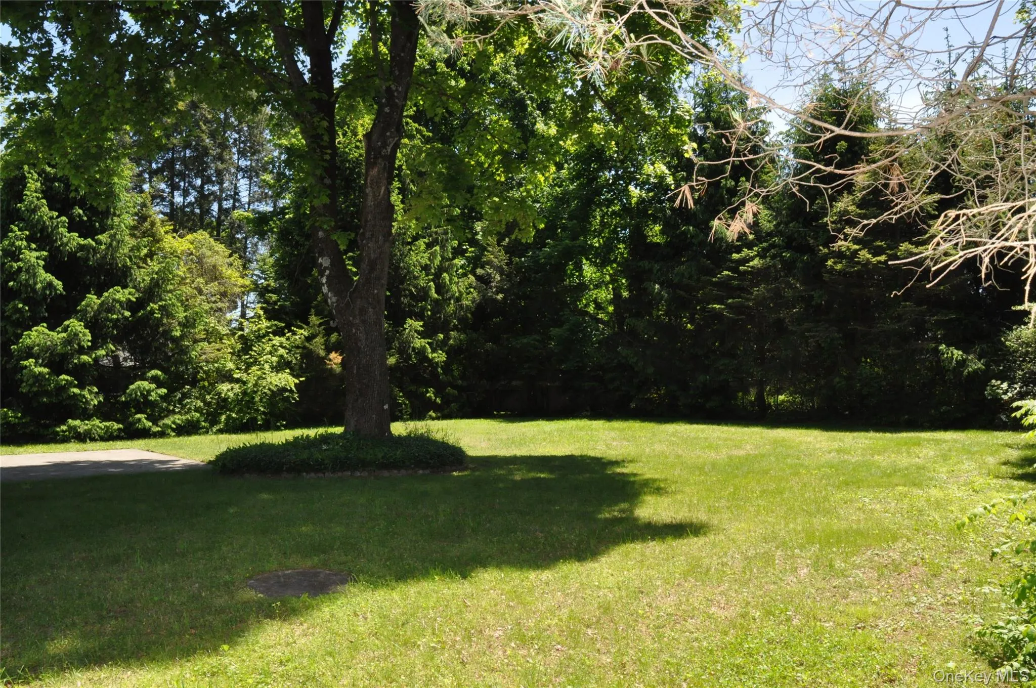 Backyard Backyard