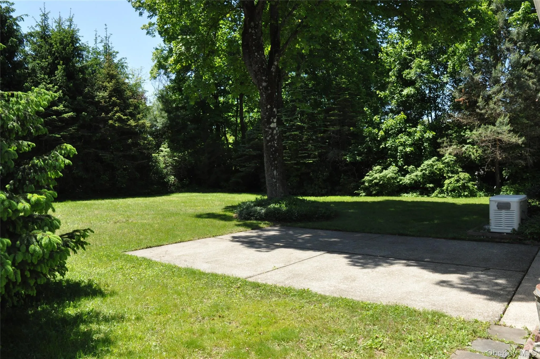 Backyard Backyard