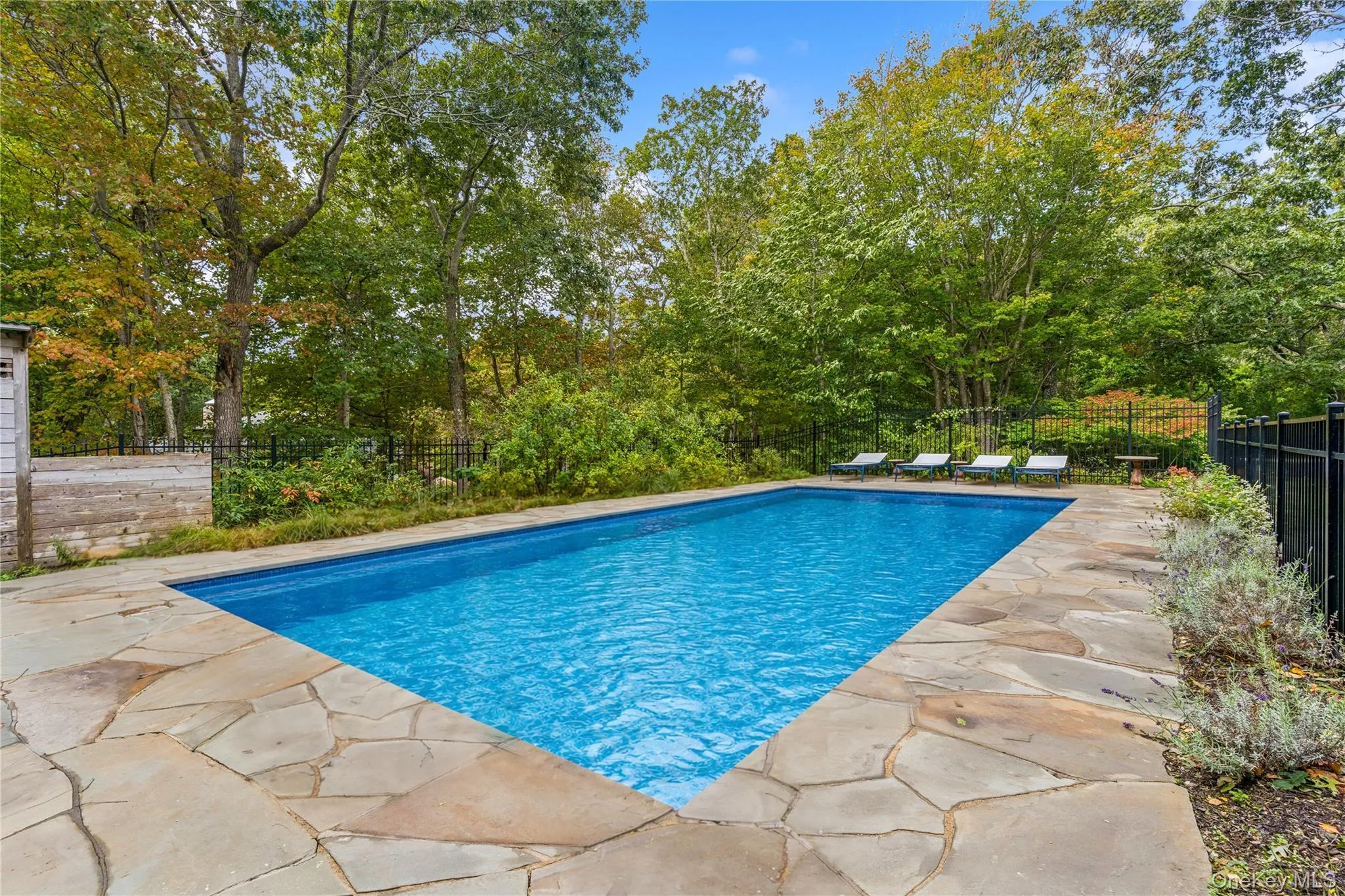 51 Davis Drive, East Hampton, NY, 4 Bedrooms Bedrooms, 9 Rooms Rooms,3 BathroomsBathrooms,Residential Sale,For Rent,Davis,0,970896 51 Davis Drive, East Hampton, NY, 4 Bedrooms Bedrooms, 9 Rooms Rooms,3 BathroomsBathrooms,Residential Sale,For Rent,Davis,0,970896