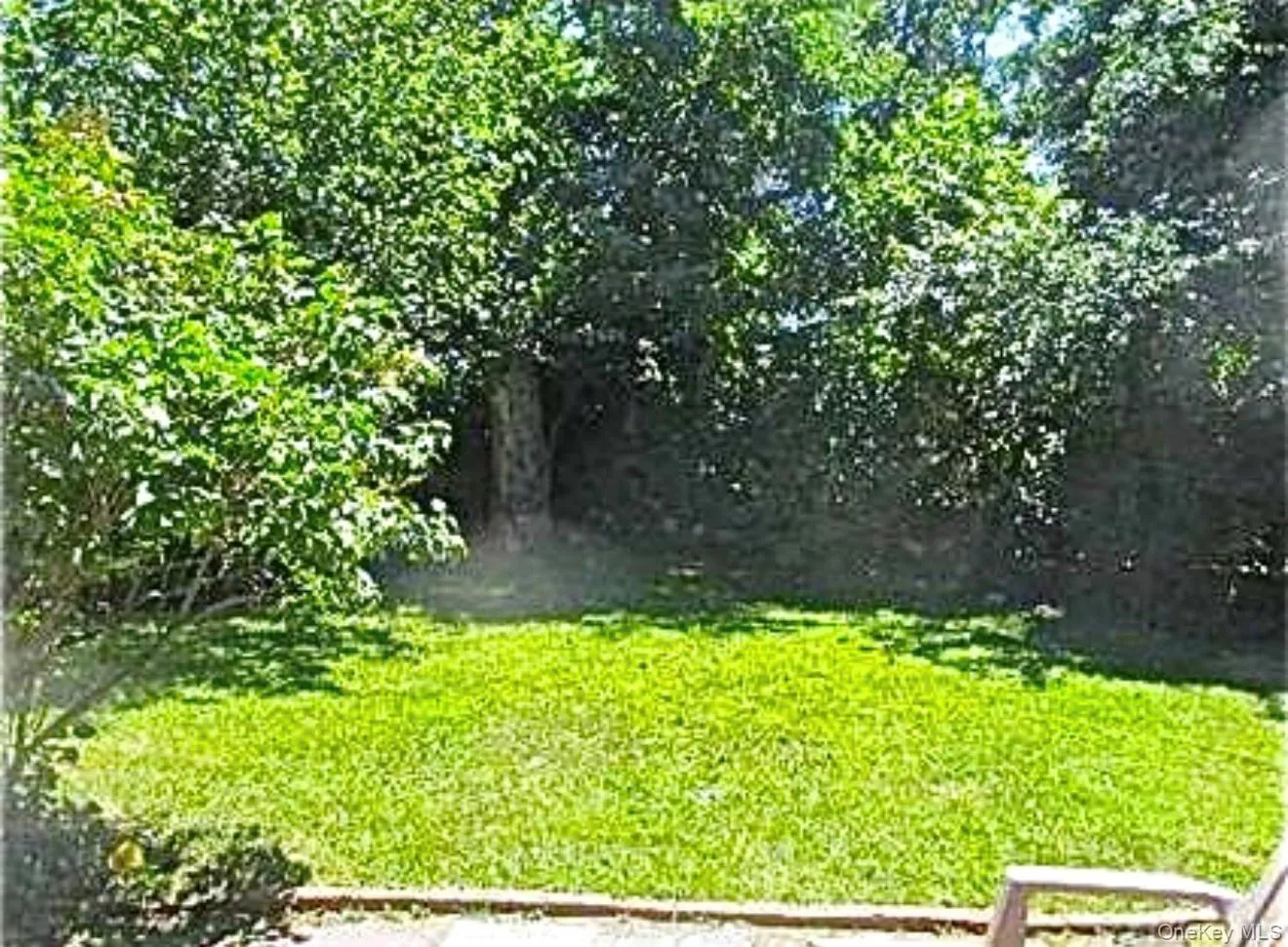 15 Maple Grove Street, North Hempstead, NY, 4 Bedrooms Bedrooms, 8 Rooms Rooms,2 BathroomsBathrooms,Residential Lease,For Rent,Maple Grove,0,970913 15 Maple Grove Street, North Hempstead, NY, 4 Bedrooms Bedrooms, 8 Rooms Rooms,2 BathroomsBathrooms,Residential Lease,For Rent,Maple Grove,0,970913