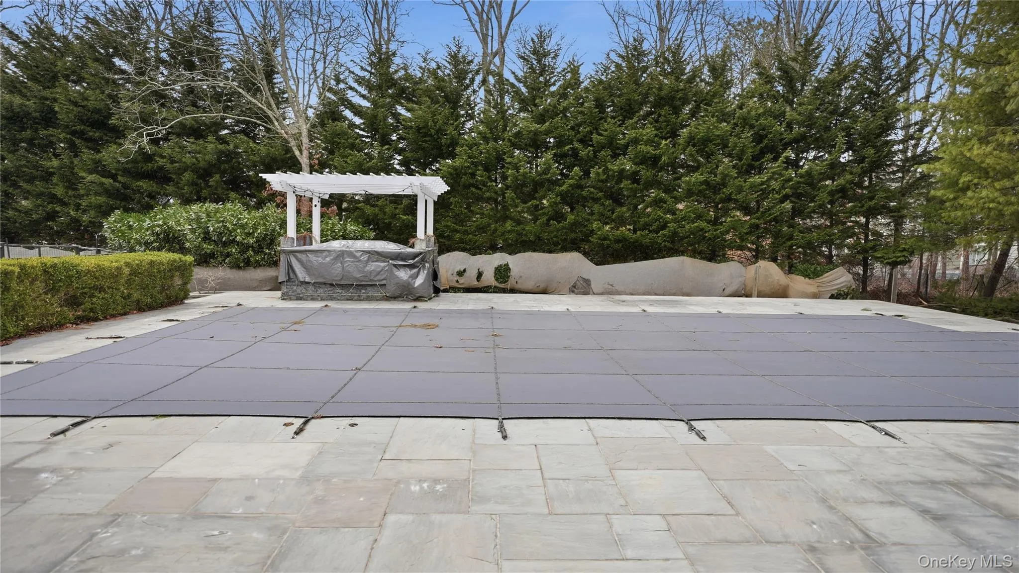 Pool & outdoor kitchen Pool & outdoor kitchen