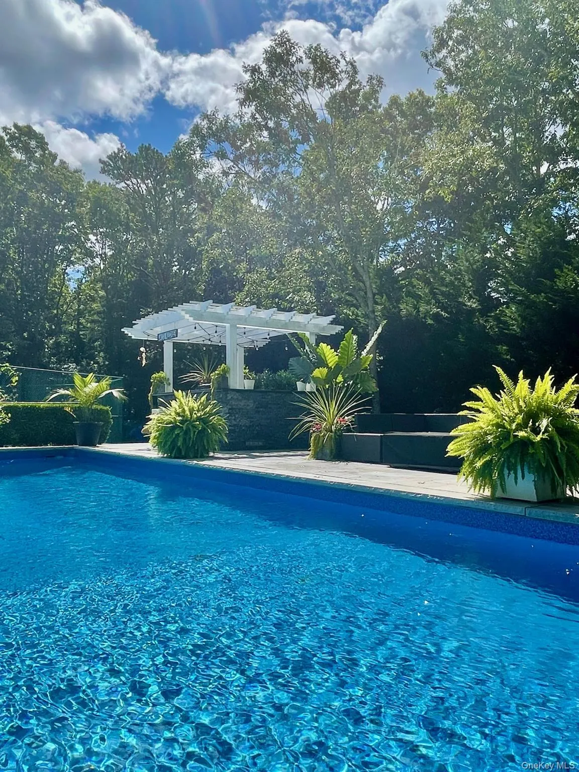 15 Blueberry Lane, Southampton, NY, 4 Bedrooms Bedrooms, 8 Rooms Rooms,3 BathroomsBathrooms,Residential Lease,For Rent,Blueberry,0,971046 15 Blueberry Lane, Southampton, NY, 4 Bedrooms Bedrooms, 8 Rooms Rooms,3 BathroomsBathrooms,Residential Lease,For Rent,Blueberry,0,971046