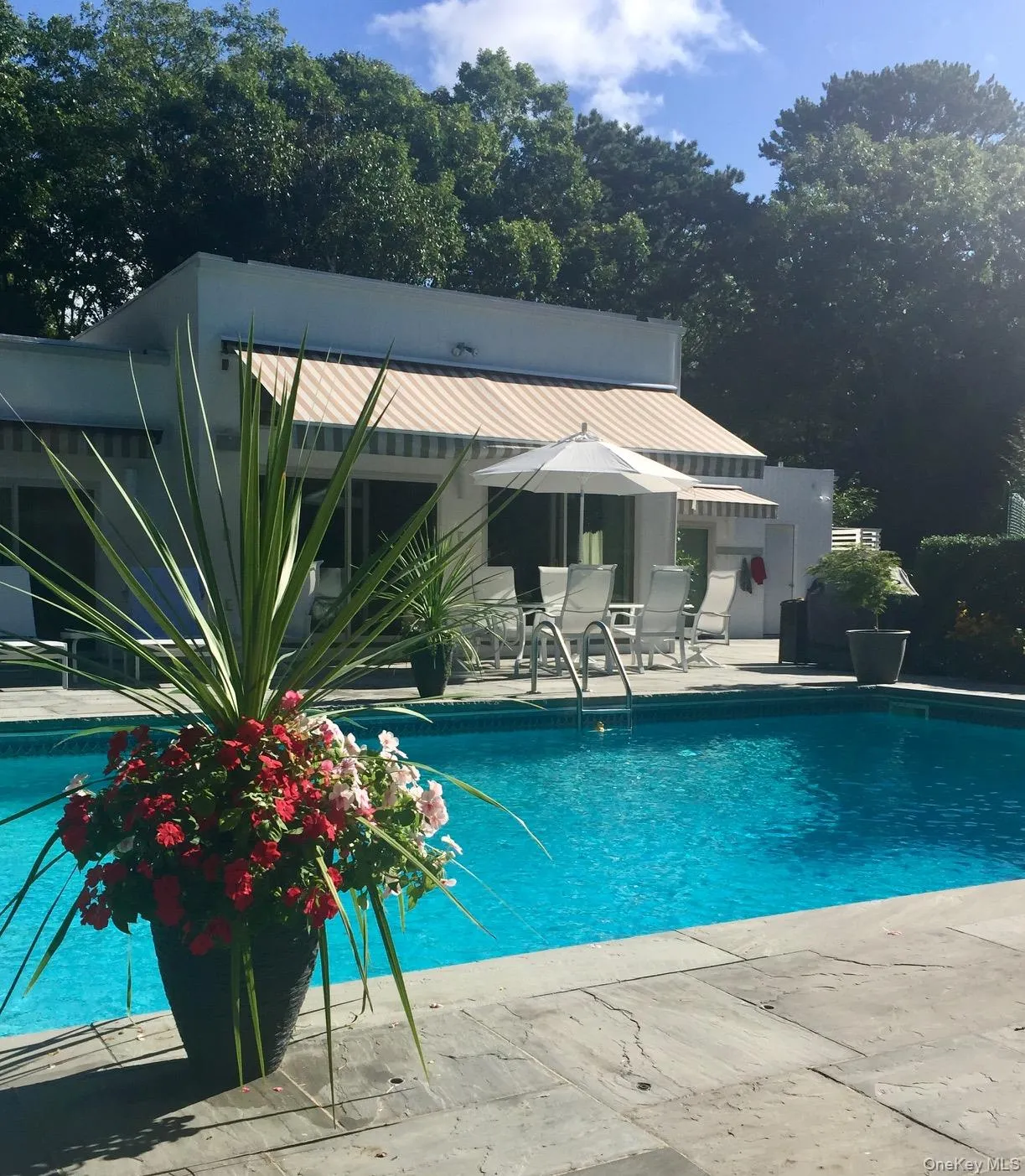 15 Blueberry Lane, Southampton, NY, 4 Bedrooms Bedrooms, 8 Rooms Rooms,3 BathroomsBathrooms,Residential Lease,For Rent,Blueberry,0,971046 15 Blueberry Lane, Southampton, NY, 4 Bedrooms Bedrooms, 8 Rooms Rooms,3 BathroomsBathrooms,Residential Lease,For Rent,Blueberry,0,971046