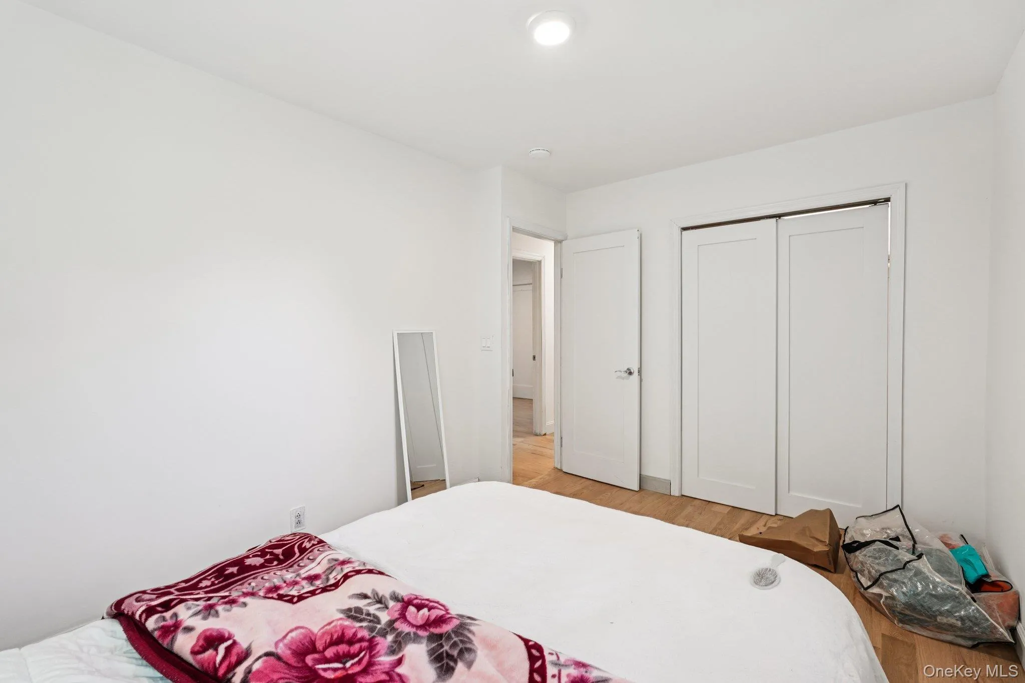 Bedroom with light wood-like flooring and a closet Bedroom with light wood-like flooring and a closet