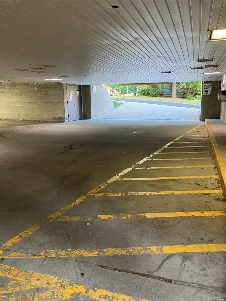 Driveway leading to garage Driveway leading to garage